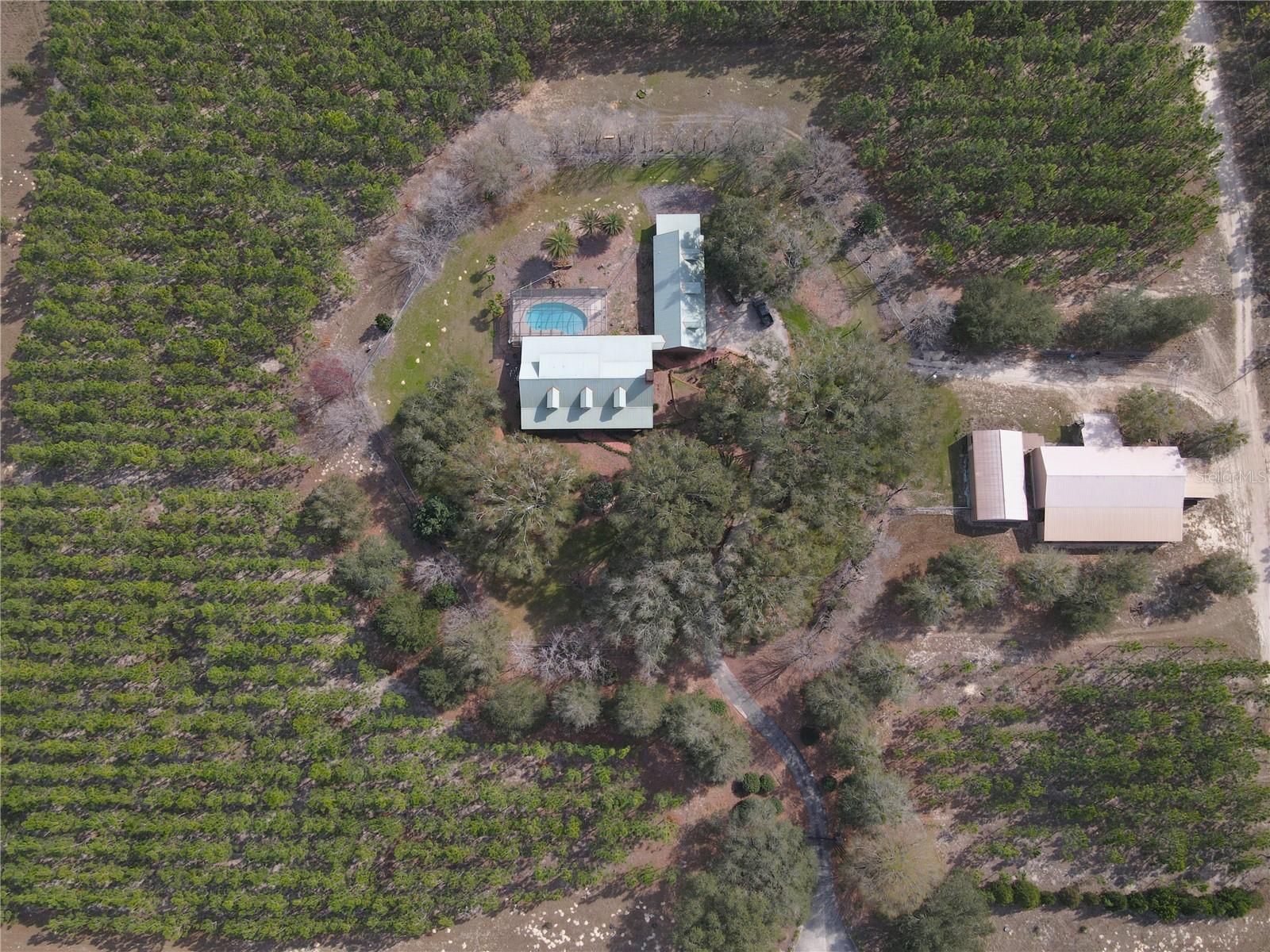 Image 46 of 97 For 272 County Road 337