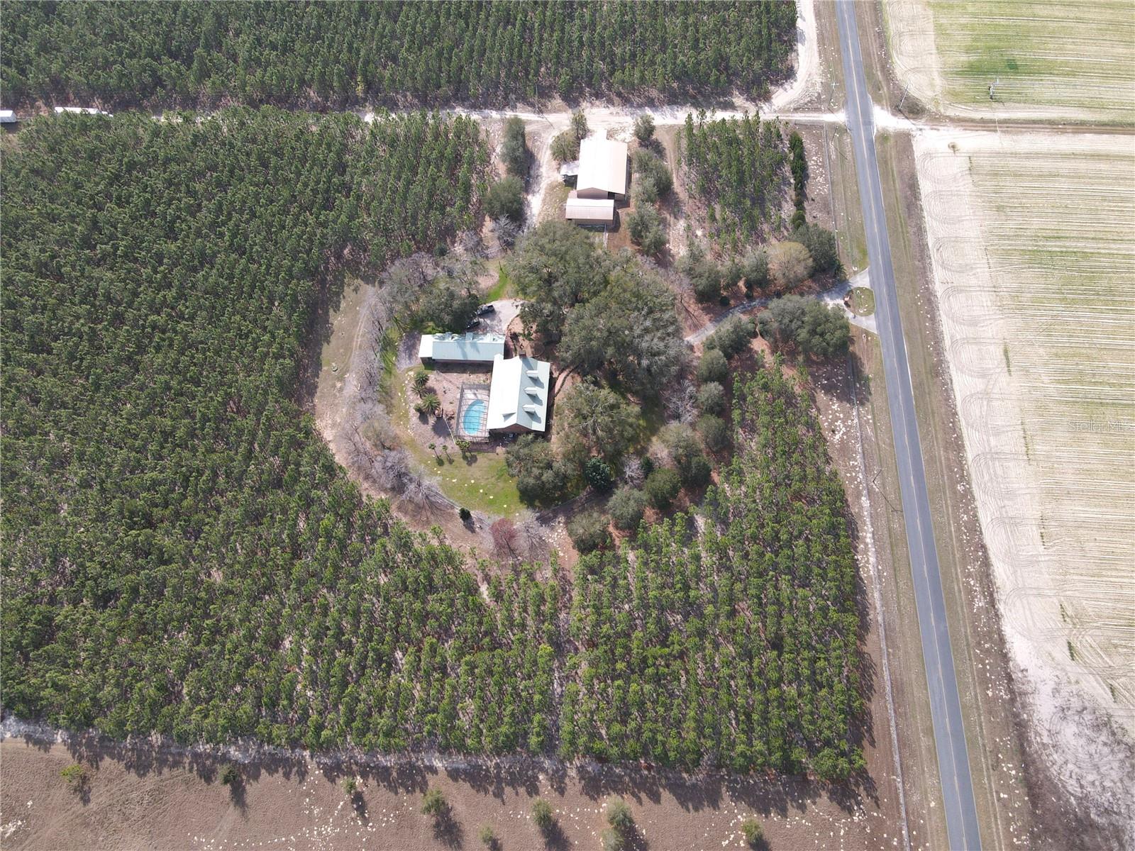 Image 48 of 97 For 272 County Road 337