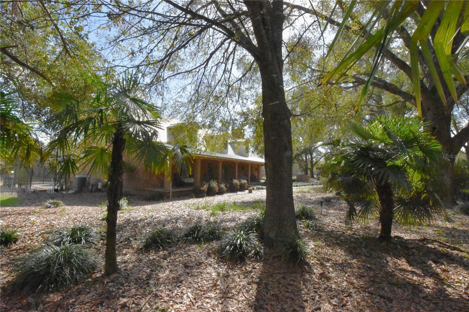 Image 81 of 97 For 272 County Road 337