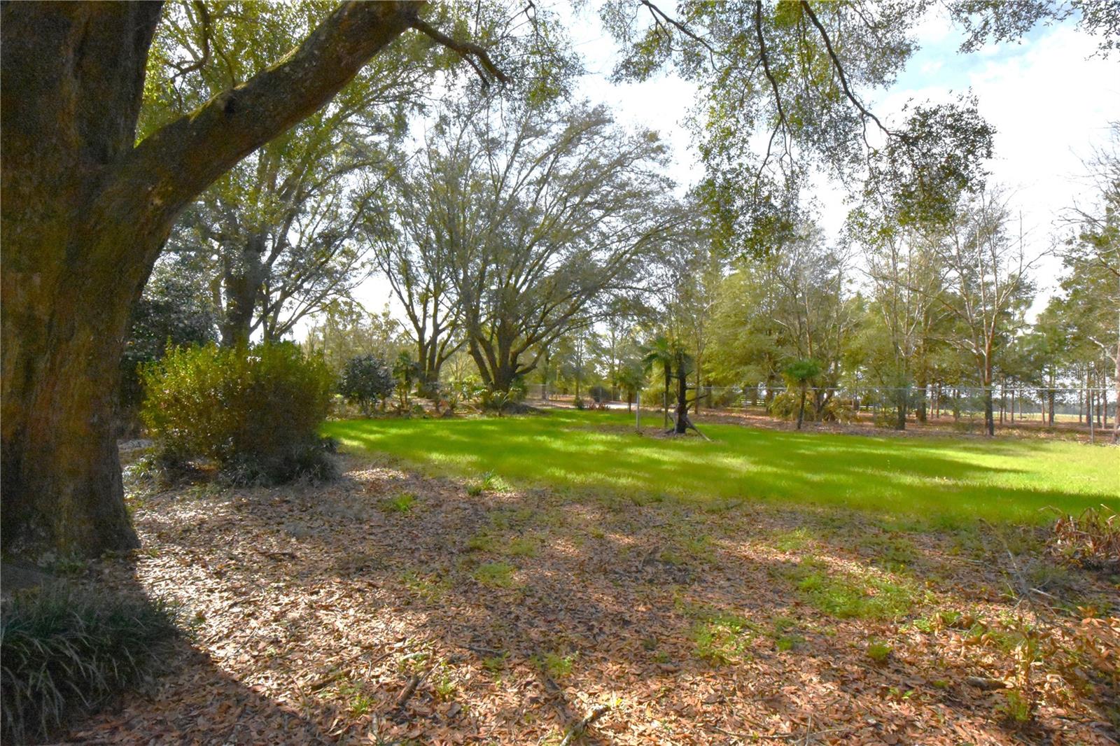 Image 82 of 97 For 272 County Road 337