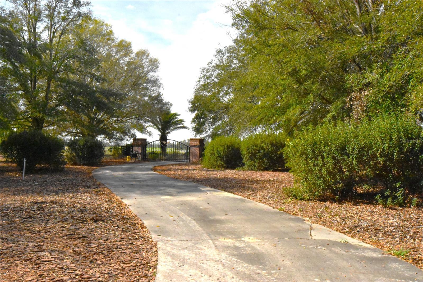 Image 83 of 97 For 272 County Road 337