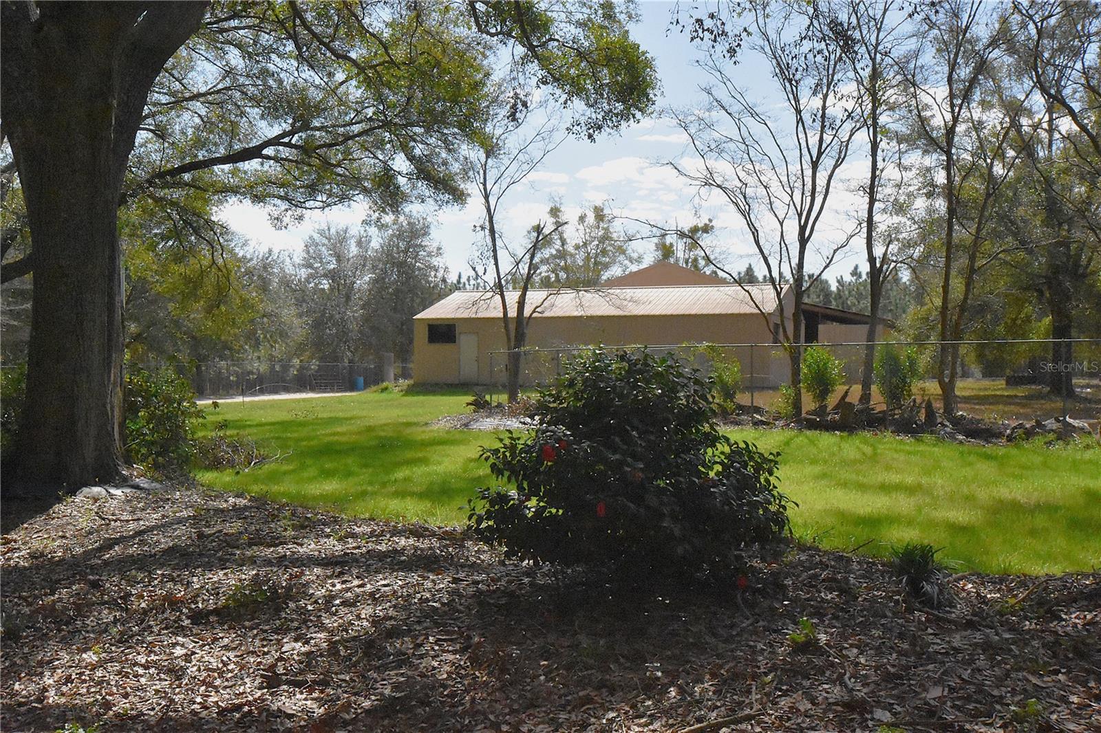 Image 86 of 97 For 272 County Road 337