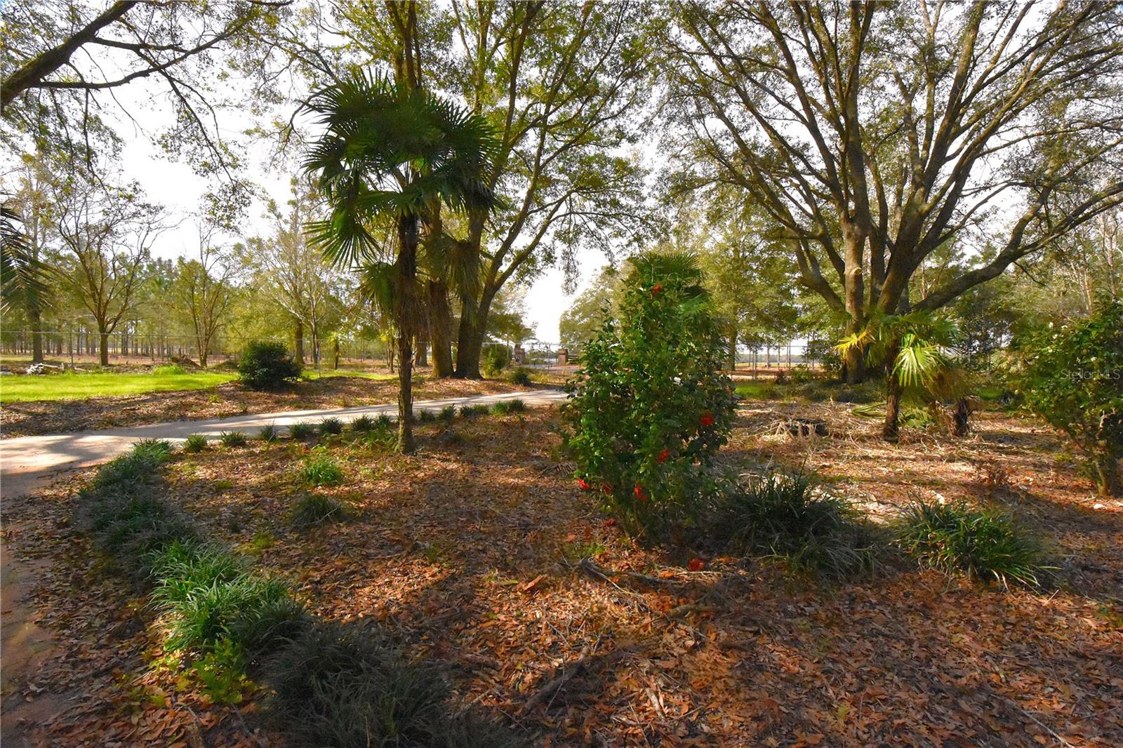 Image 88 of 97 For 272 County Road 337