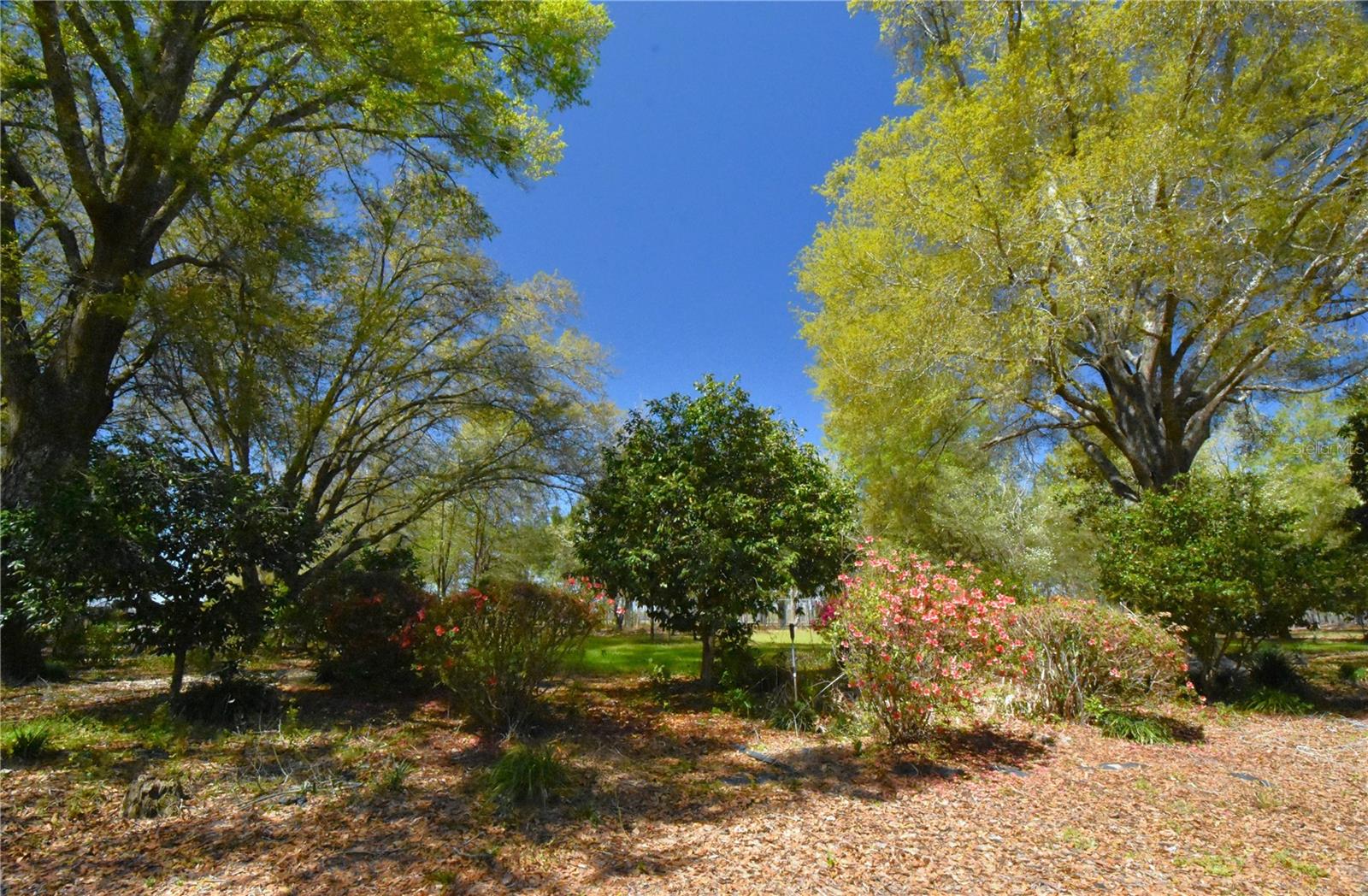 Image 93 of 97 For 272 County Road 337