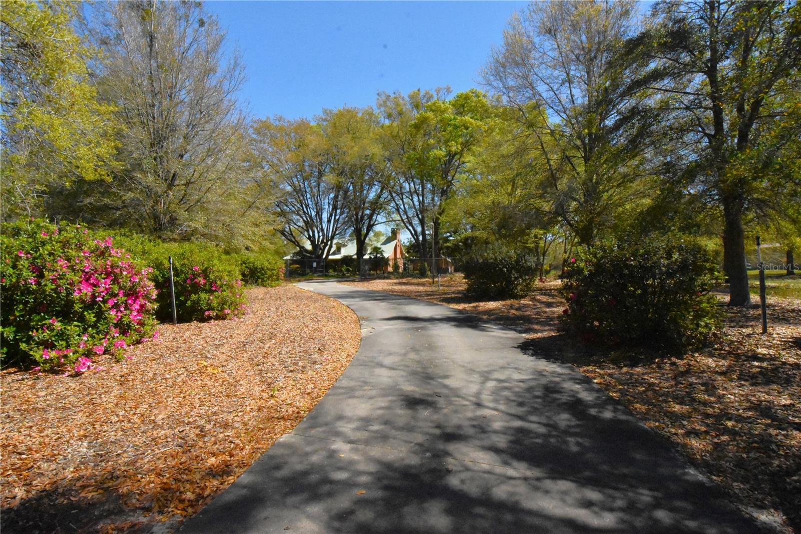 Image 94 of 97 For 272 County Road 337
