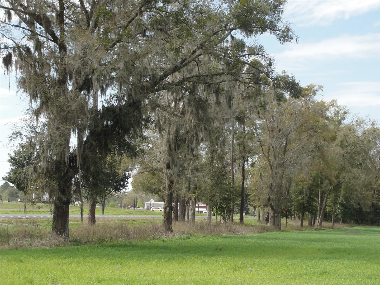 Image 4 of 5 For Tbd Highway 441