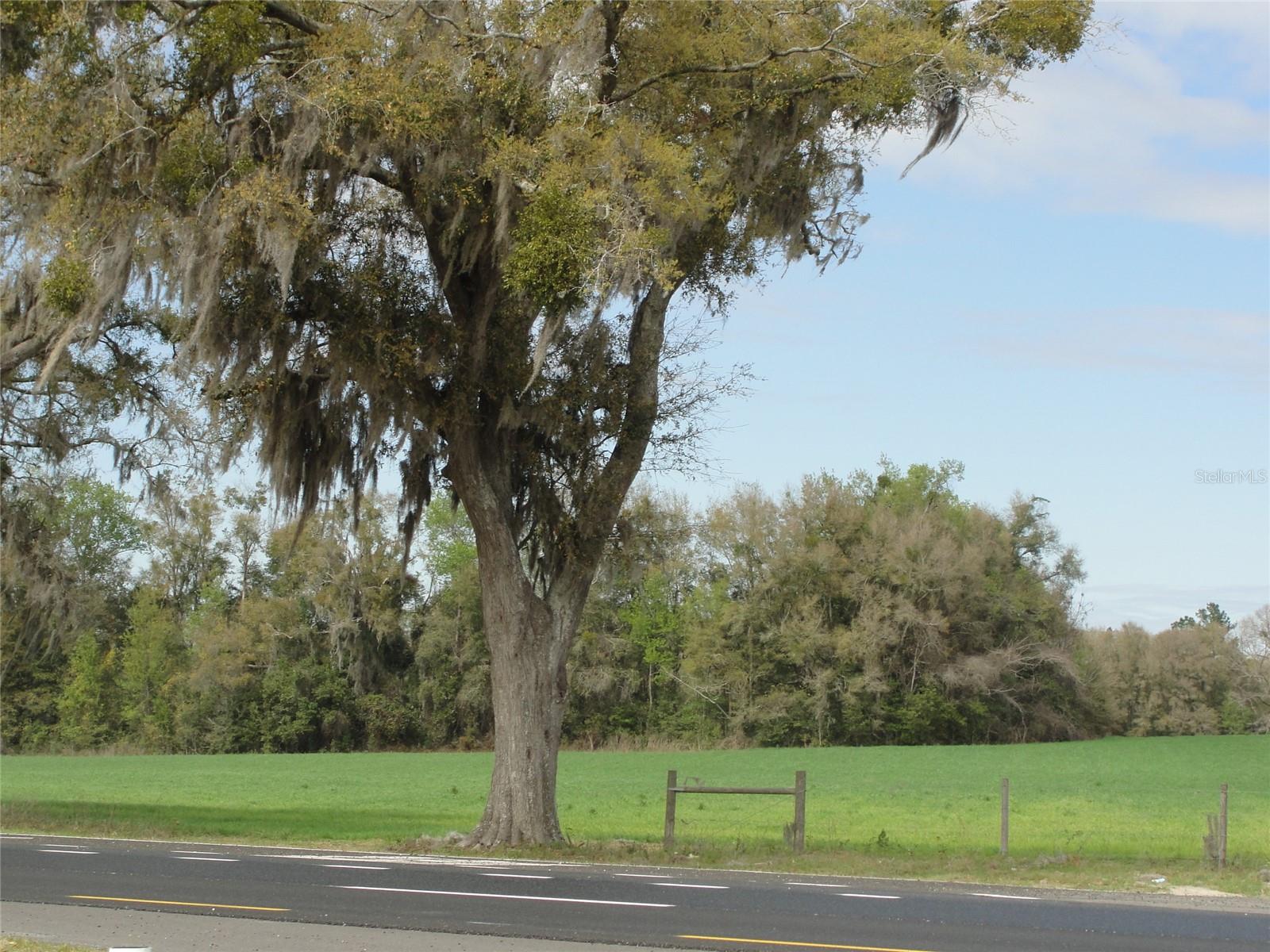 Image 5 of 5 For Tbd Highway 441