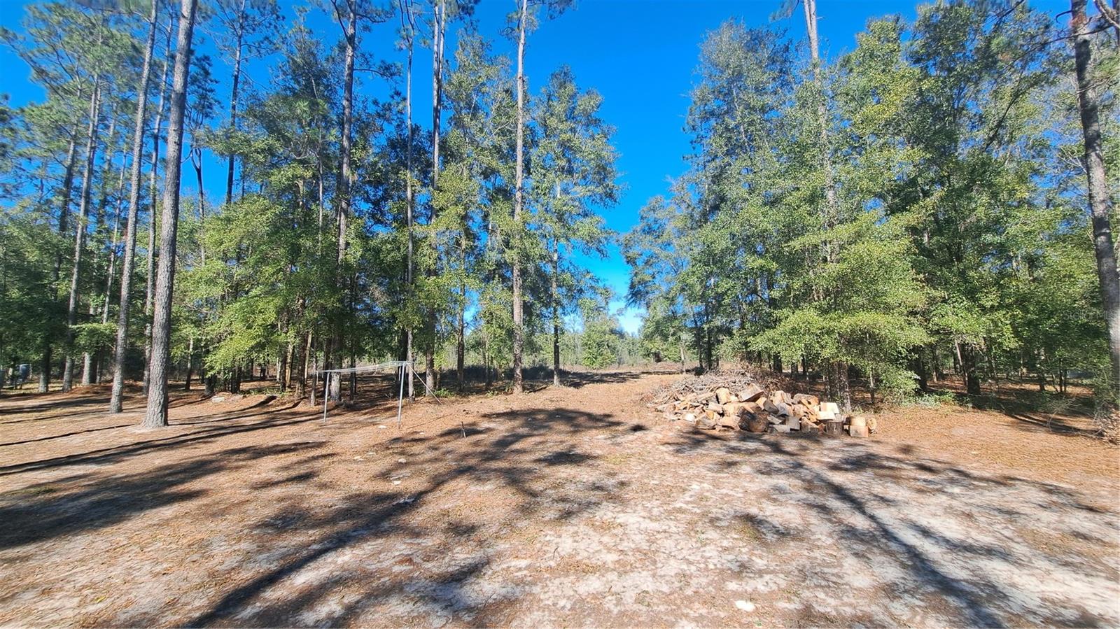 Image 14 of 16 For 669 Shiloh Street