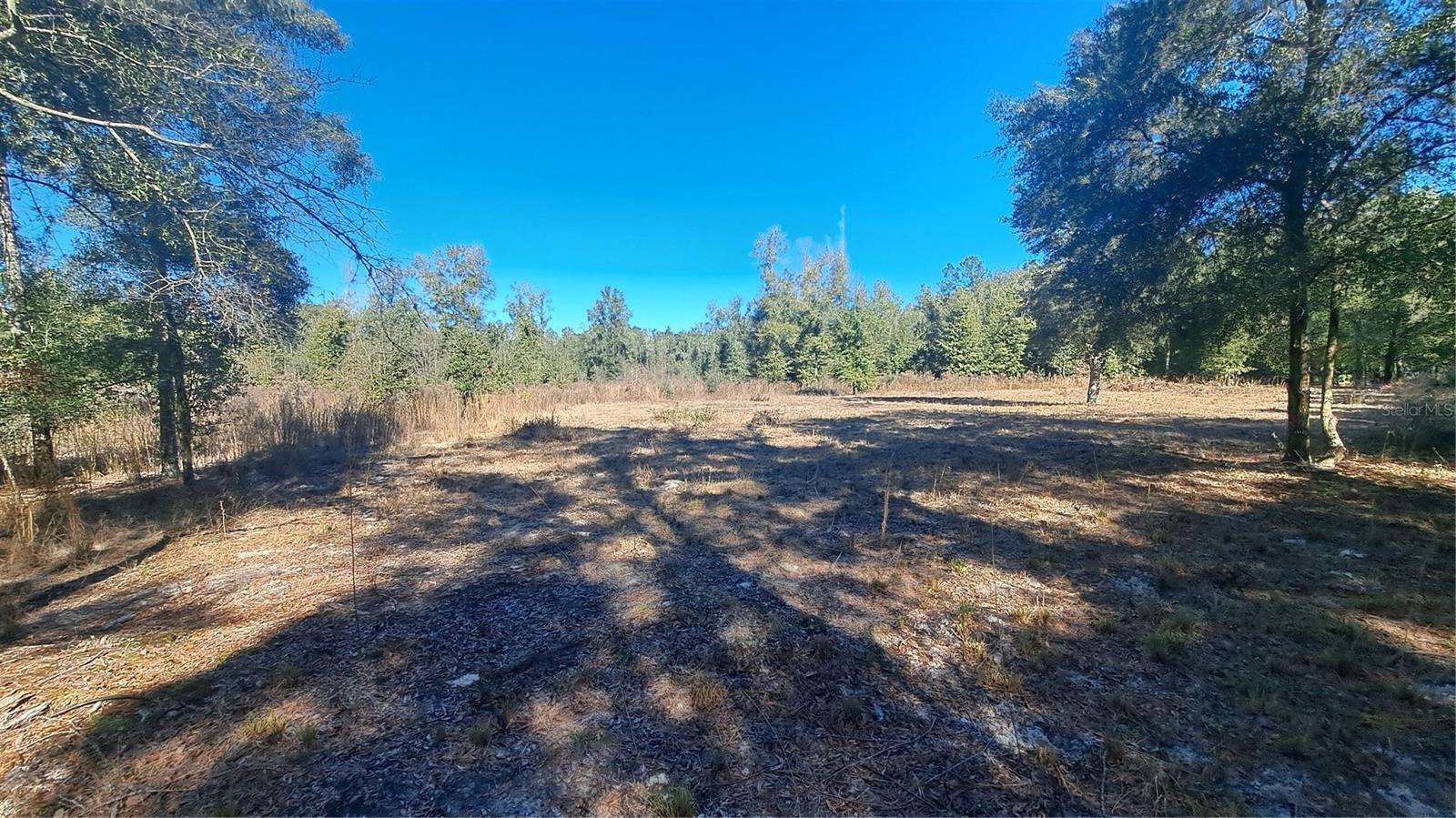 Image 2 of 16 For 669 Shiloh Street