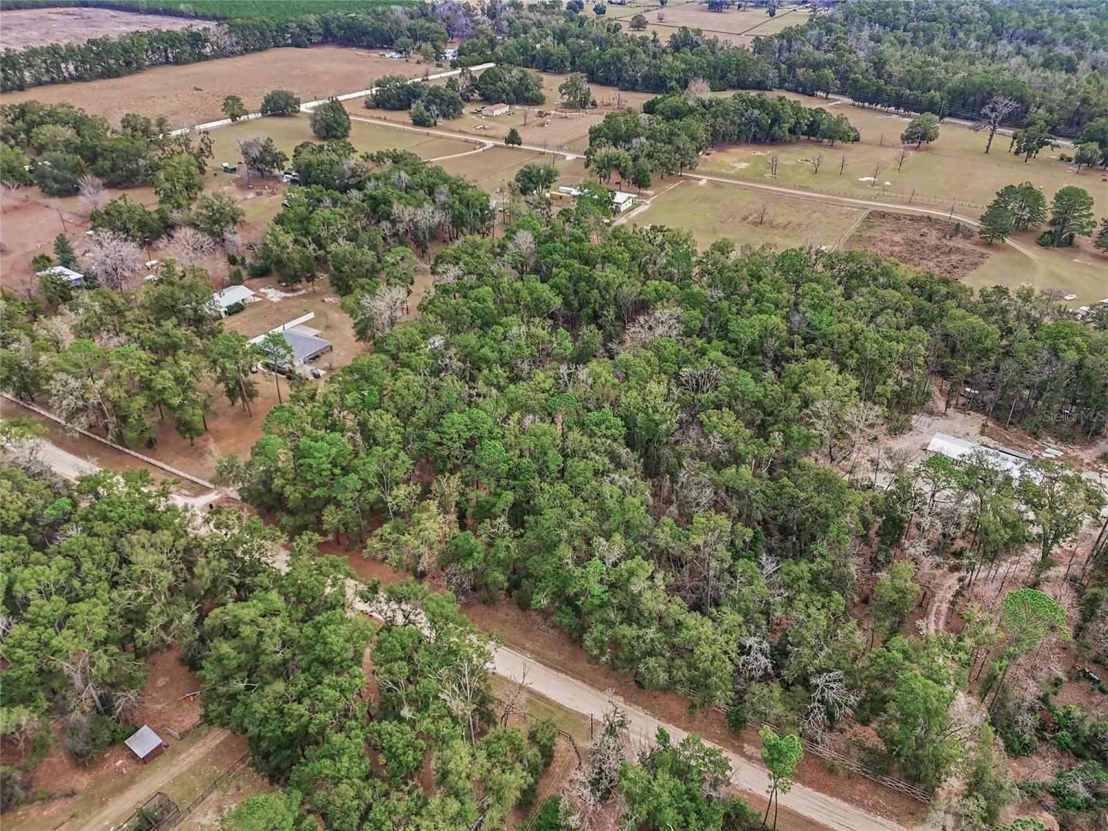 Image 14 of 29 For 00 Cowpoke Court