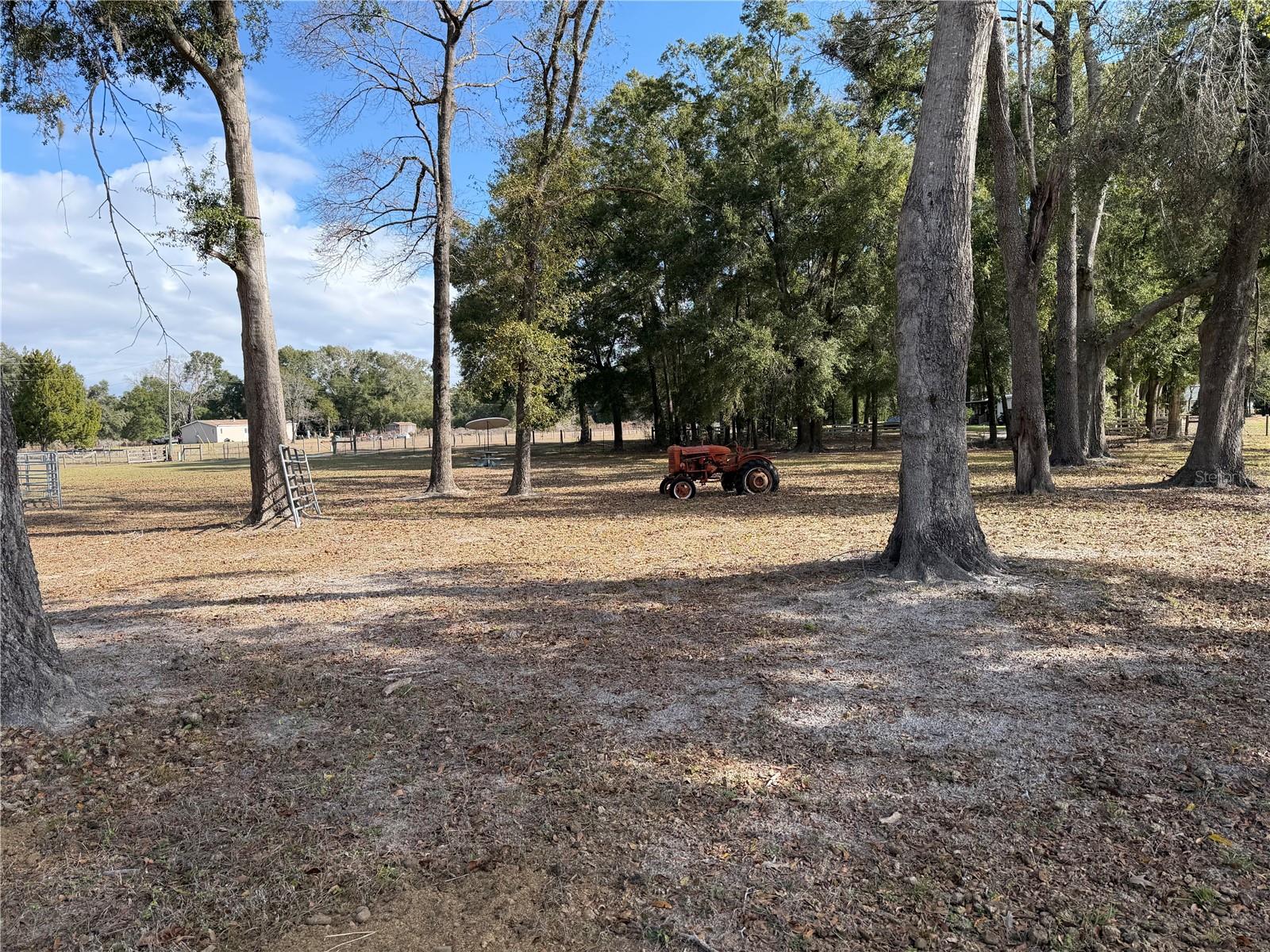 Image 23 of 29 For 00 Cowpoke Court