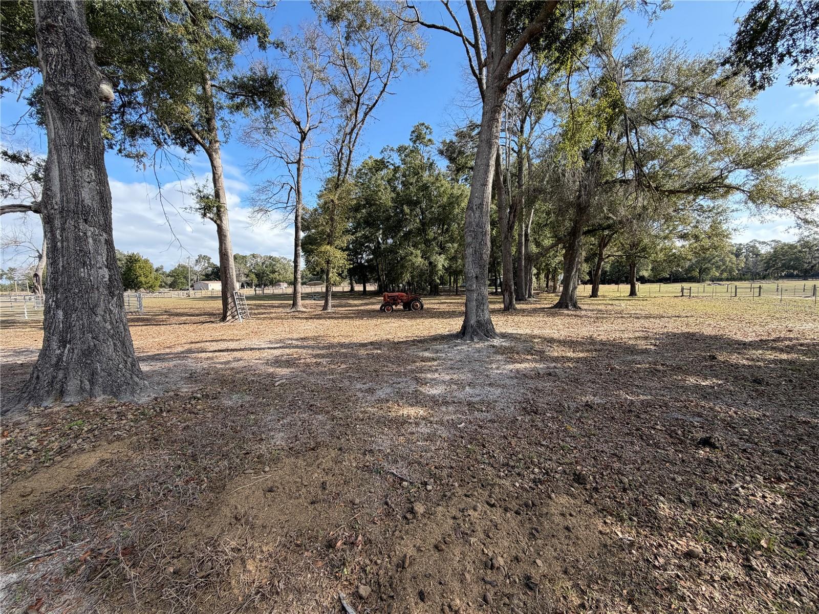 Image 24 of 29 For 00 Cowpoke Court