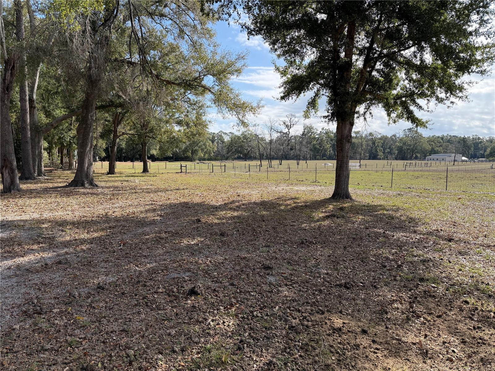 Image 26 of 29 For 00 Cowpoke Court