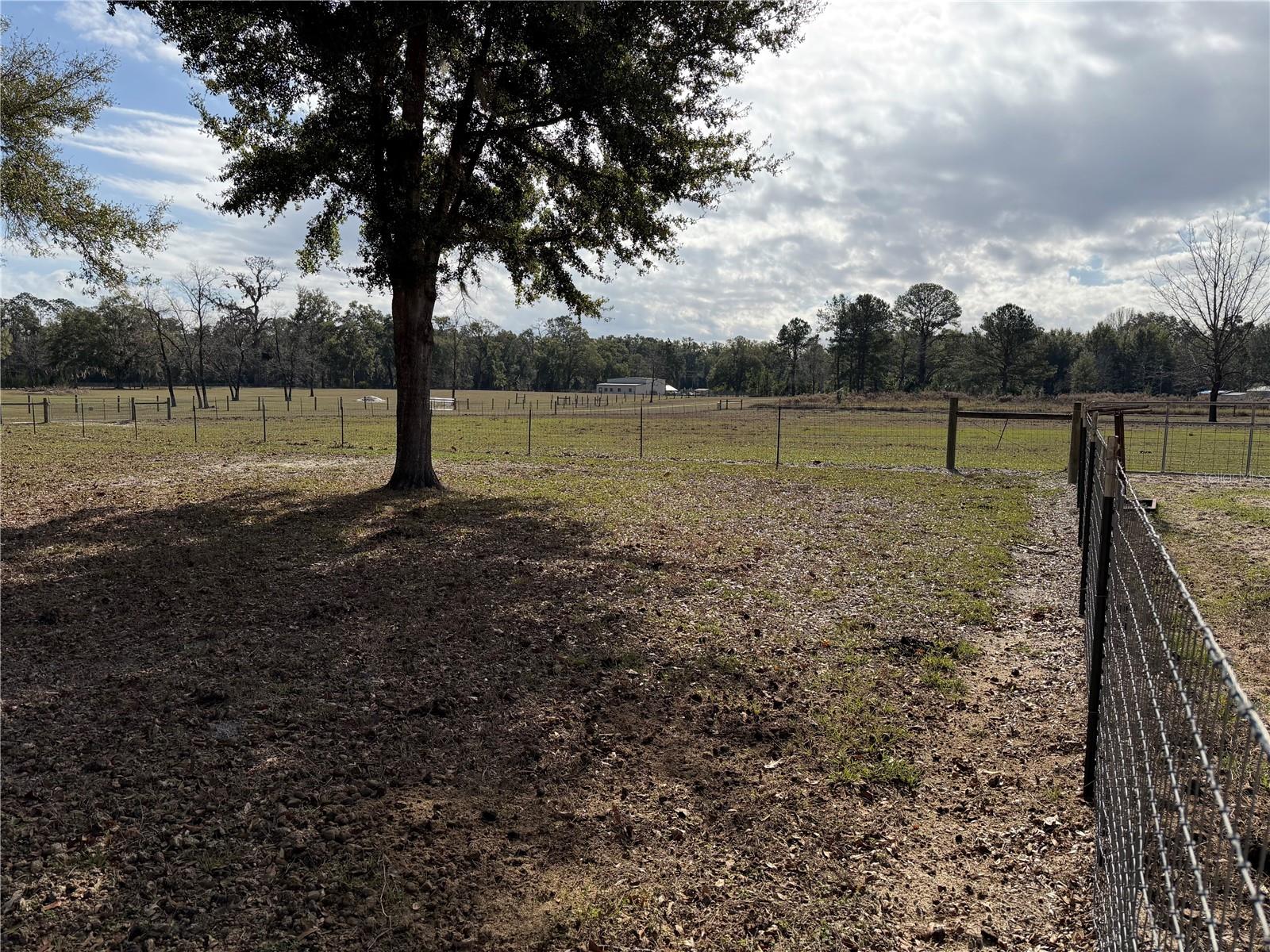 Image 27 of 29 For 00 Cowpoke Court