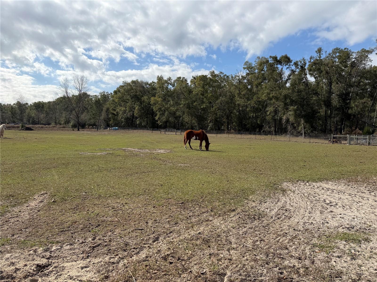Image 28 of 29 For 00 Cowpoke Court