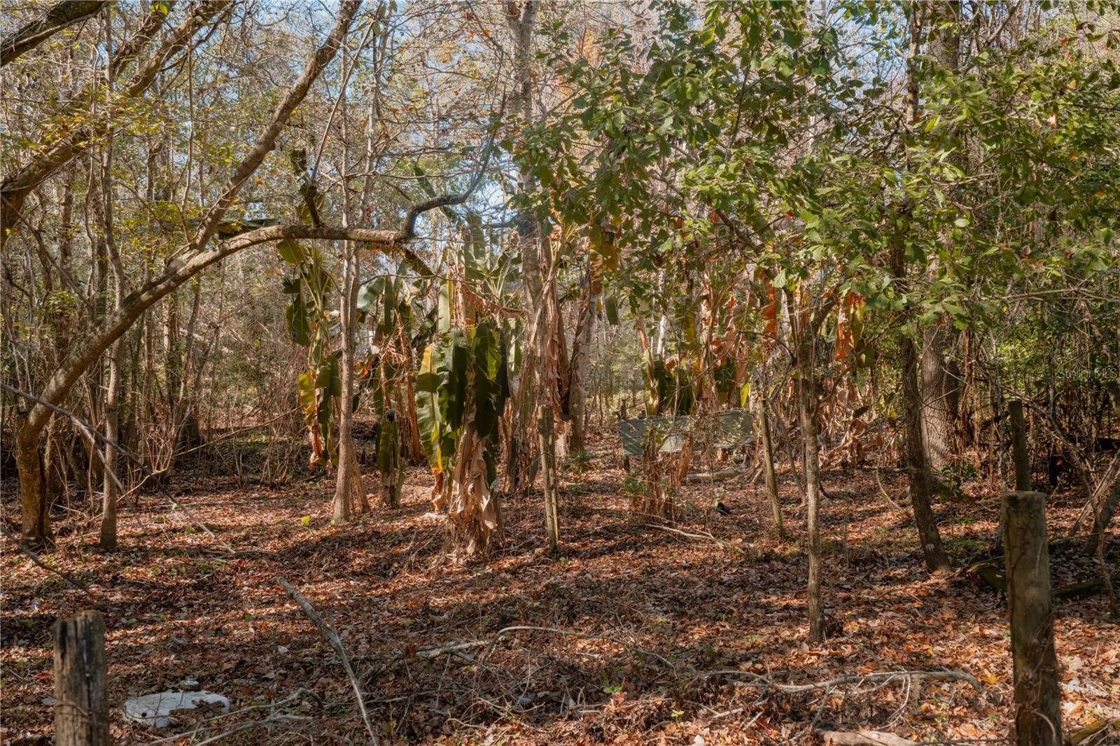 Image 23 of 39 For 16970 120th Avenue