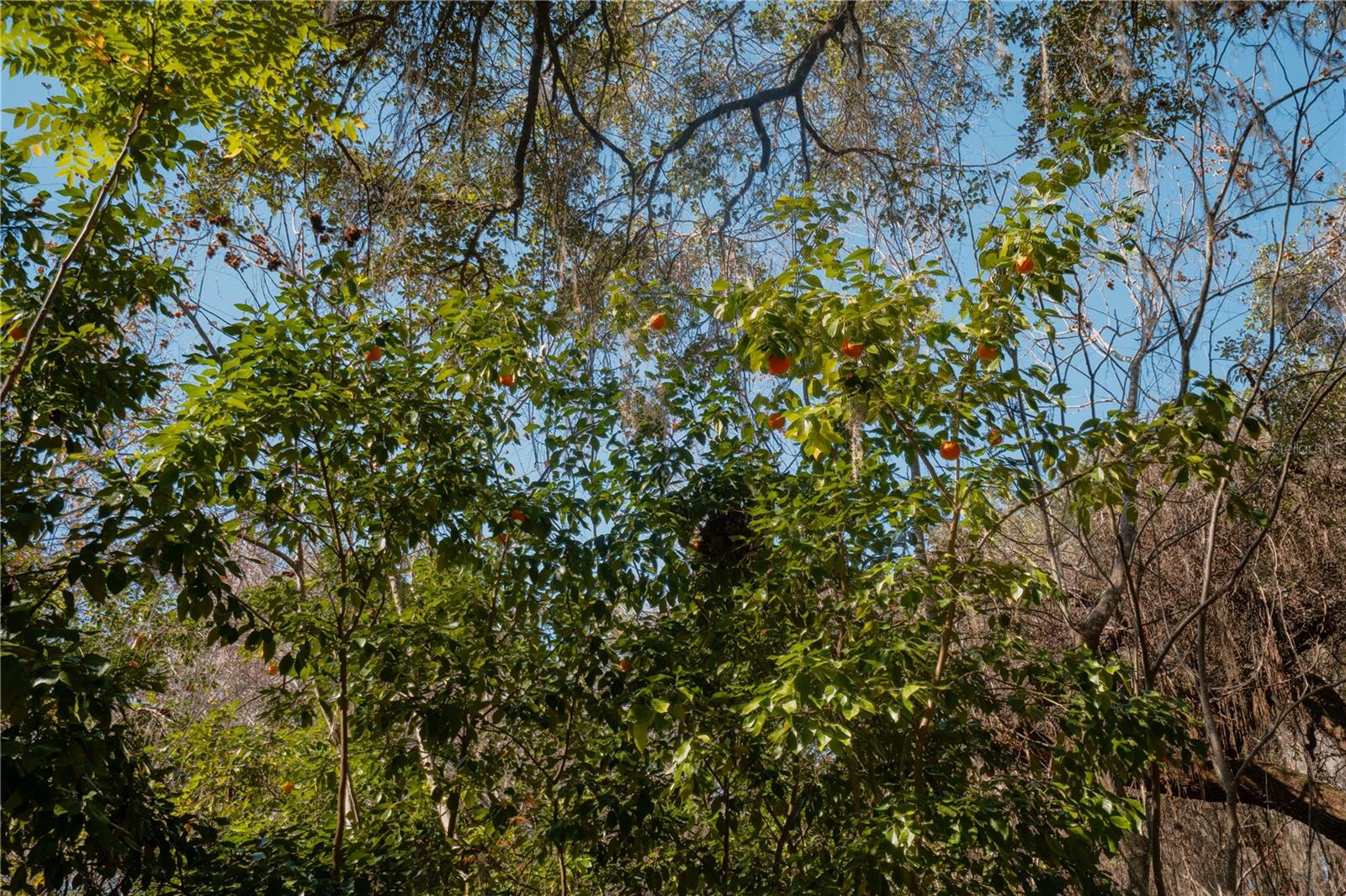 Image 24 of 39 For 16970 120th Avenue