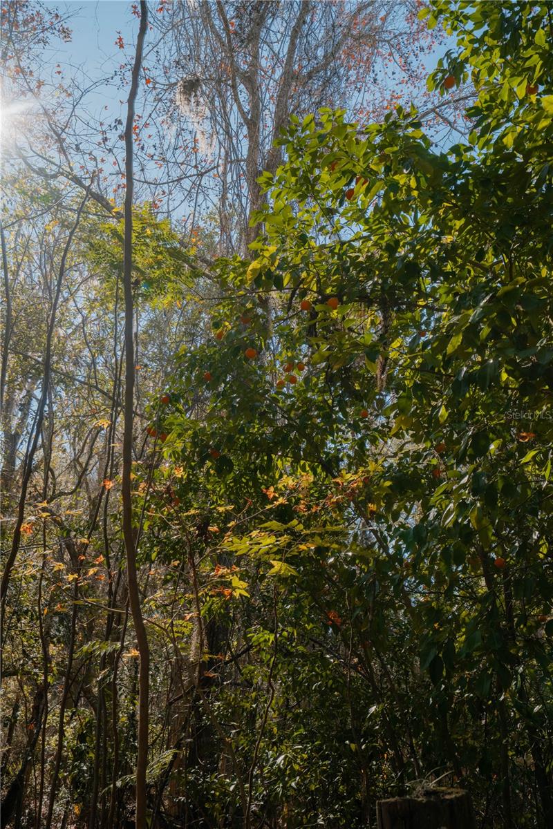 Image 25 of 39 For 16970 120th Avenue