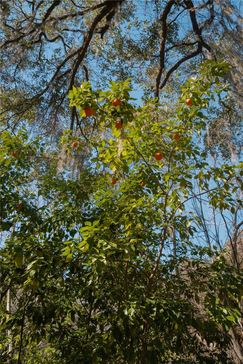 Image 27 of 39 For 16970 120th Avenue