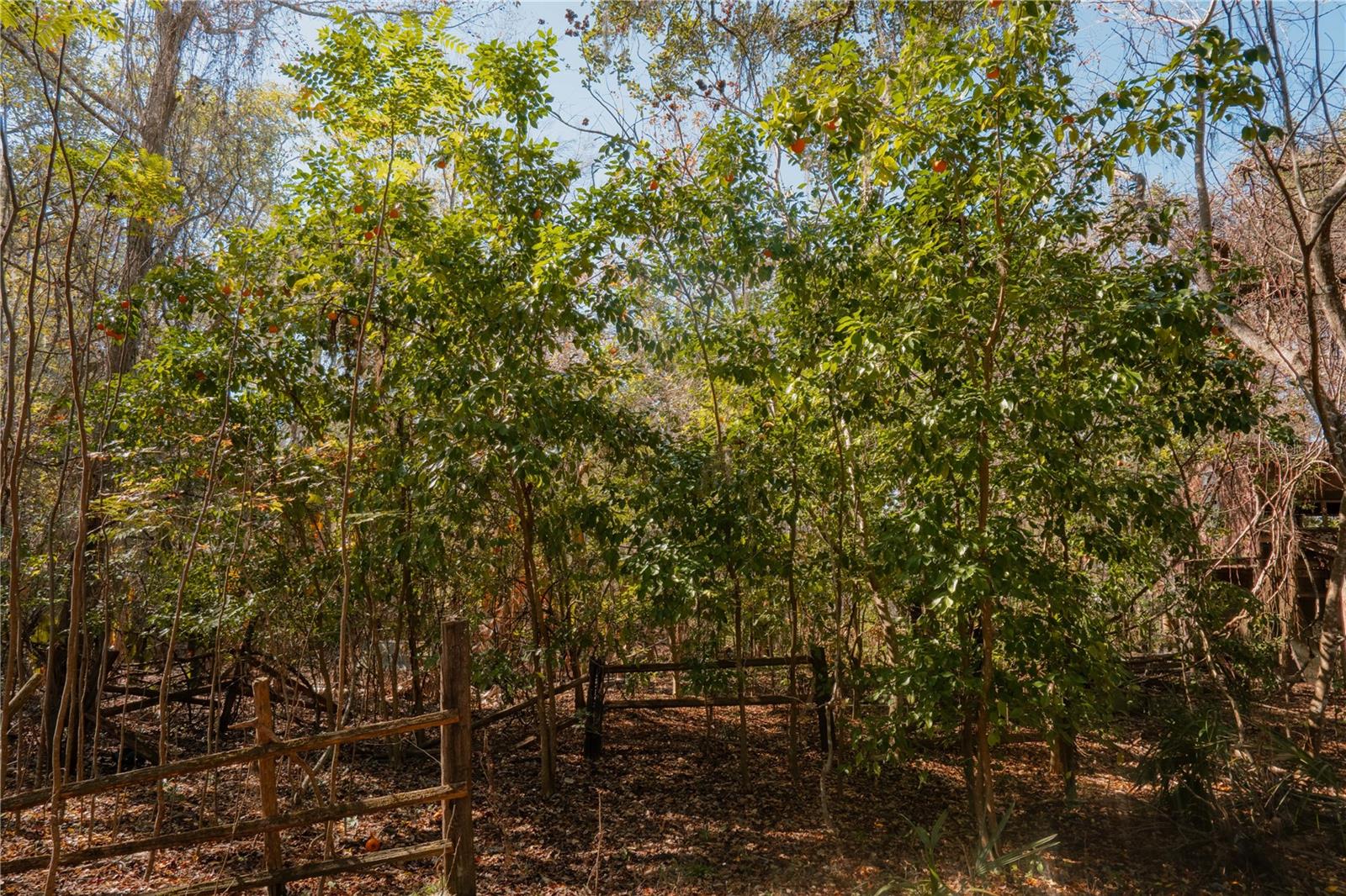 Image 28 of 39 For 16970 120th Avenue