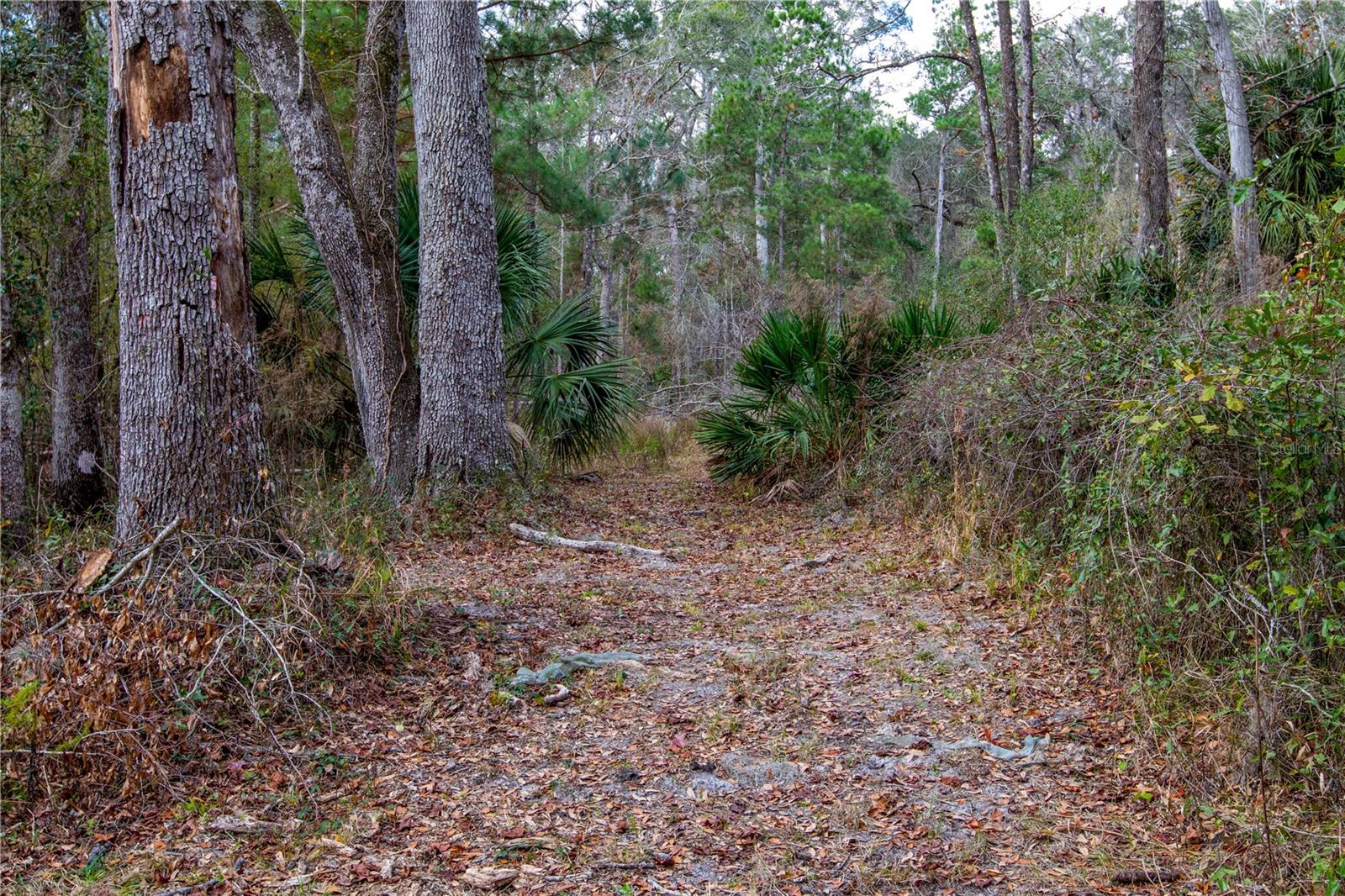 Image 34 of 37 For 402 709 Street