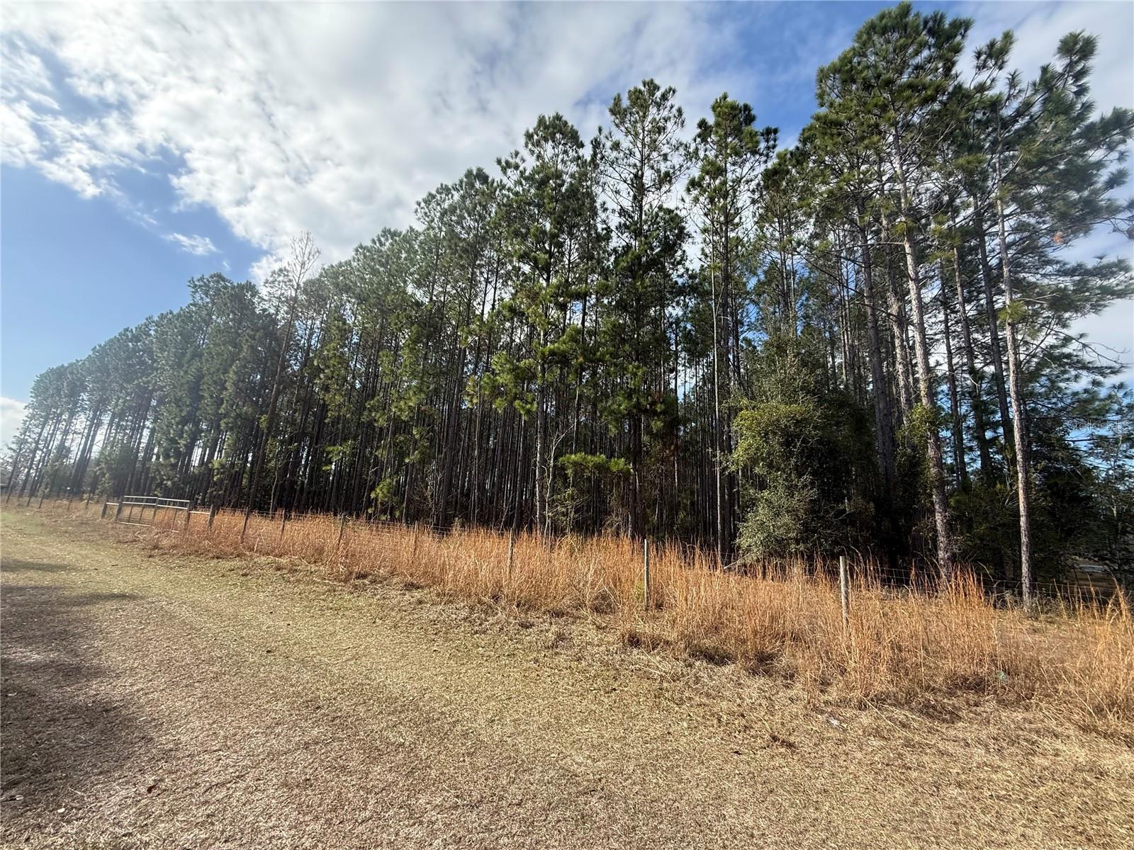 Image 10 of 13 For 00 Sr 121