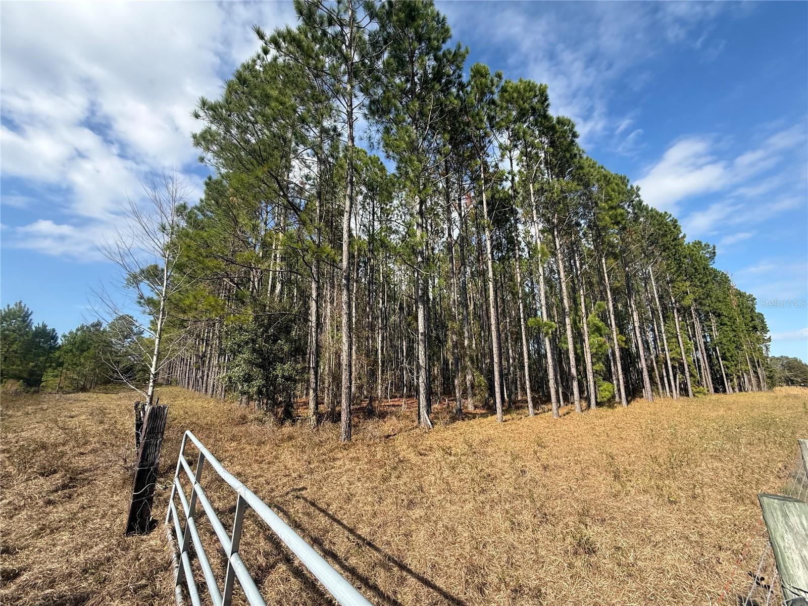 Image 3 of 13 For 00 Sr 121