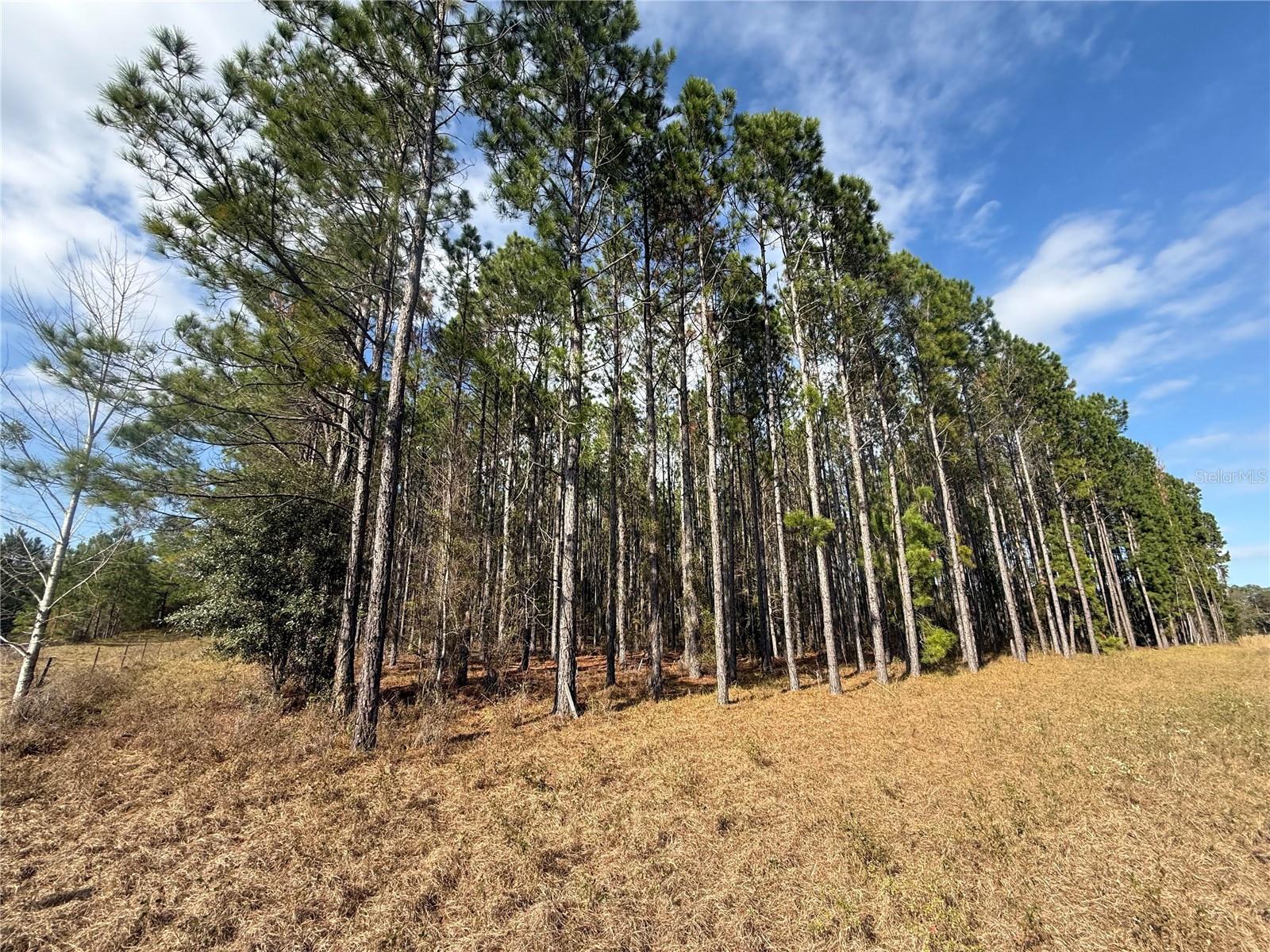 Image 5 of 13 For 00 Sr 121