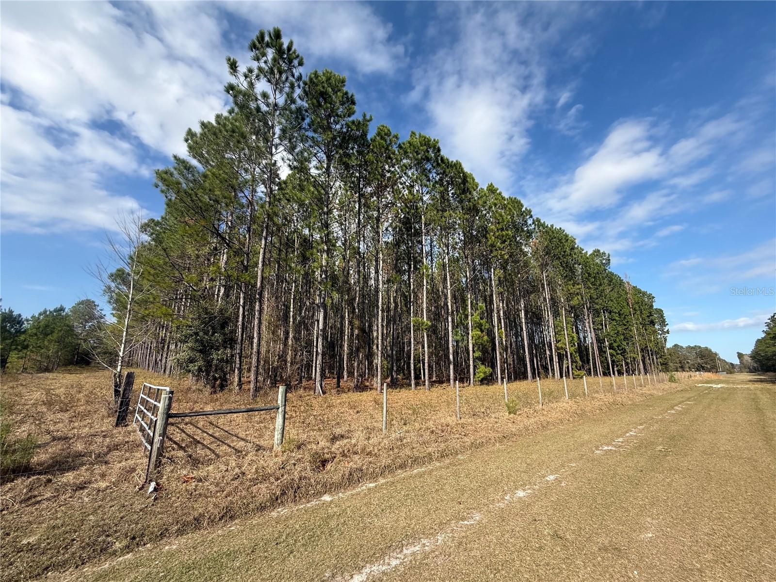 Image 6 of 13 For 00 Sr 121