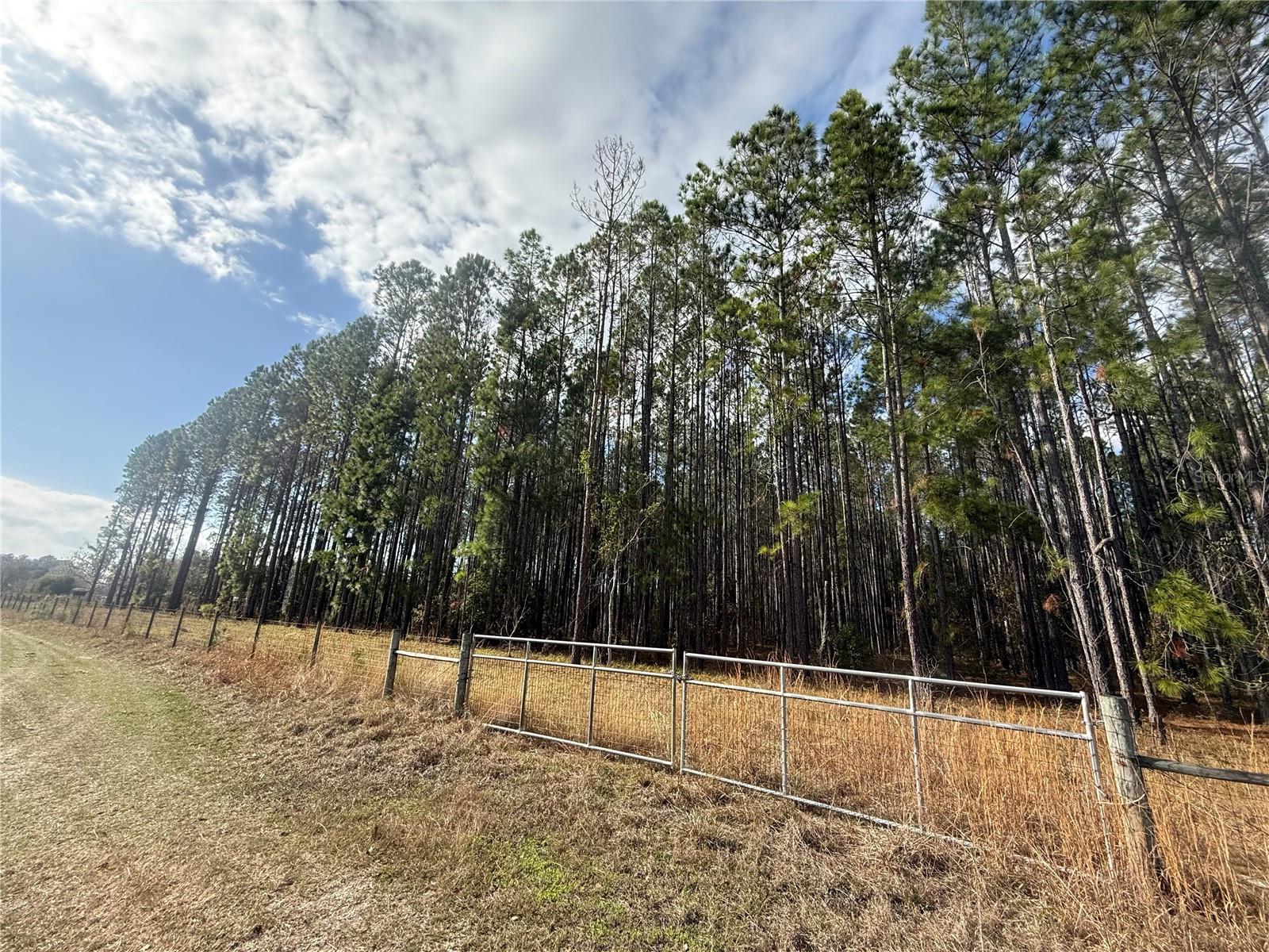 Image 7 of 13 For 00 Sr 121