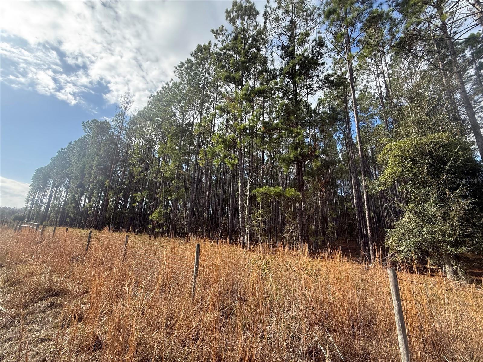 Image 9 of 13 For 00 Sr 121