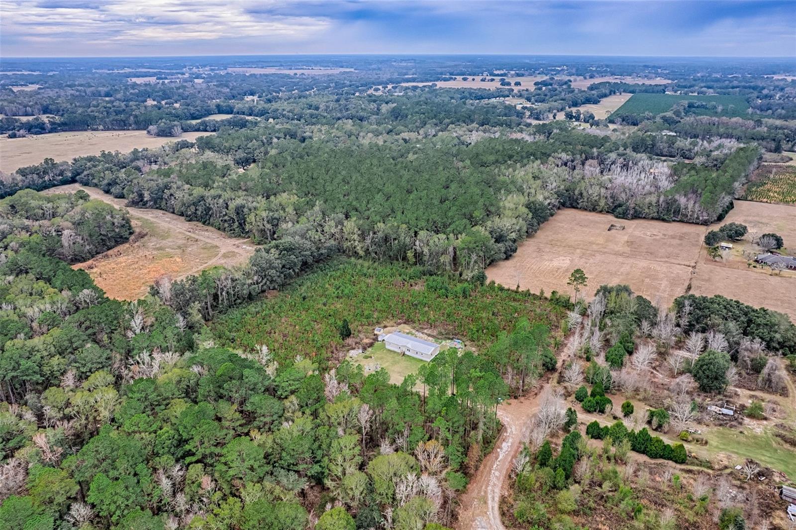 Image 27 of 42 For 134 Powell Place