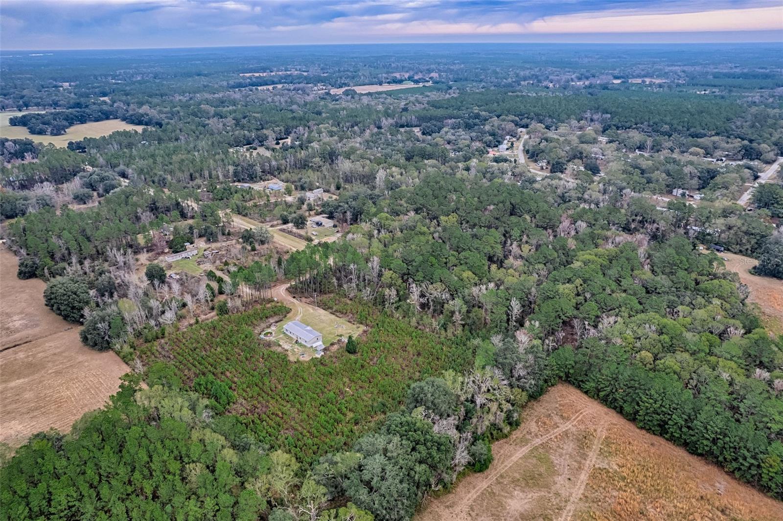 Image 34 of 42 For 134 Powell Place