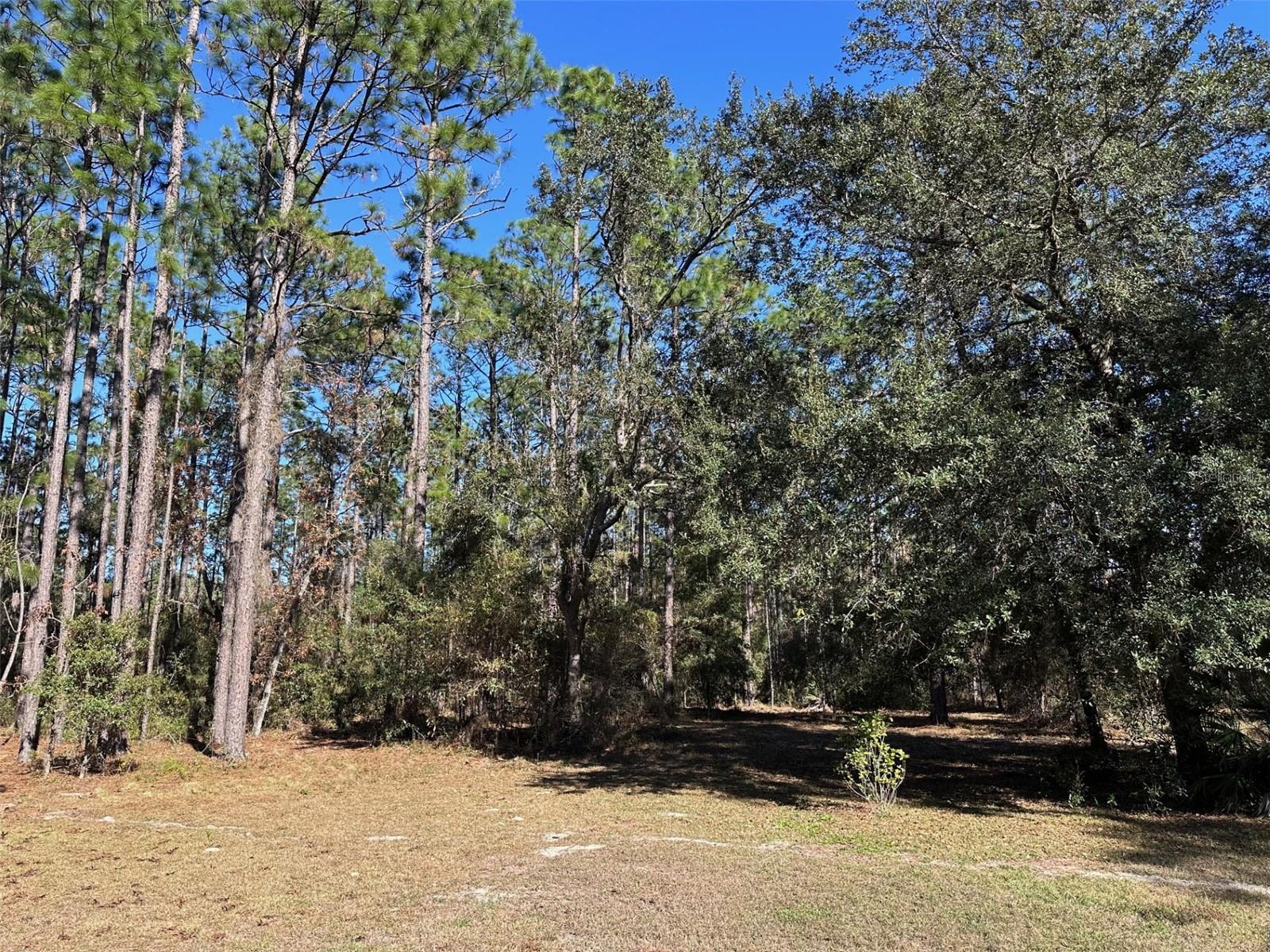 Image 22 of 26 For 3760 County Road 337