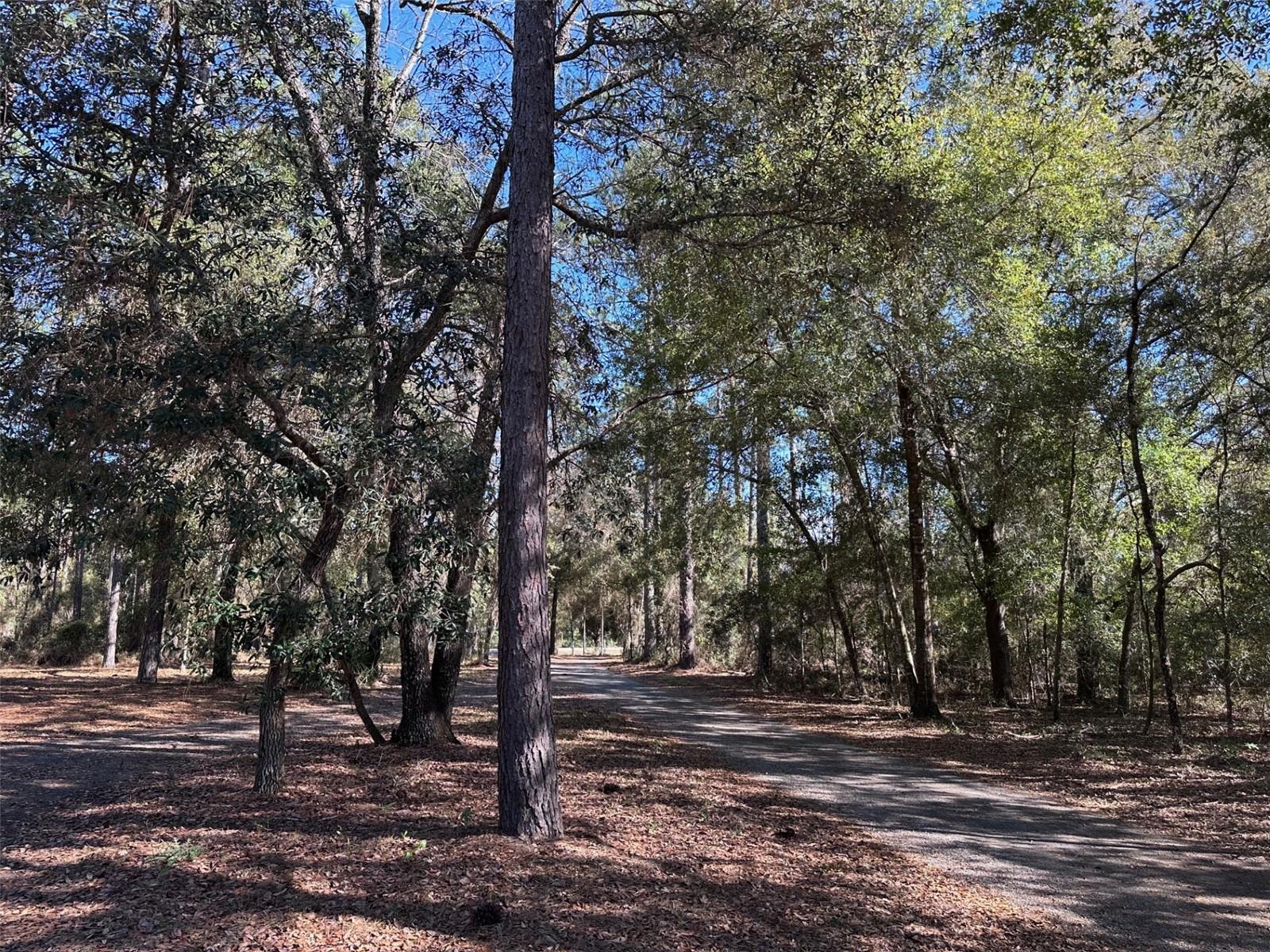 Image 23 of 26 For 3760 County Road 337