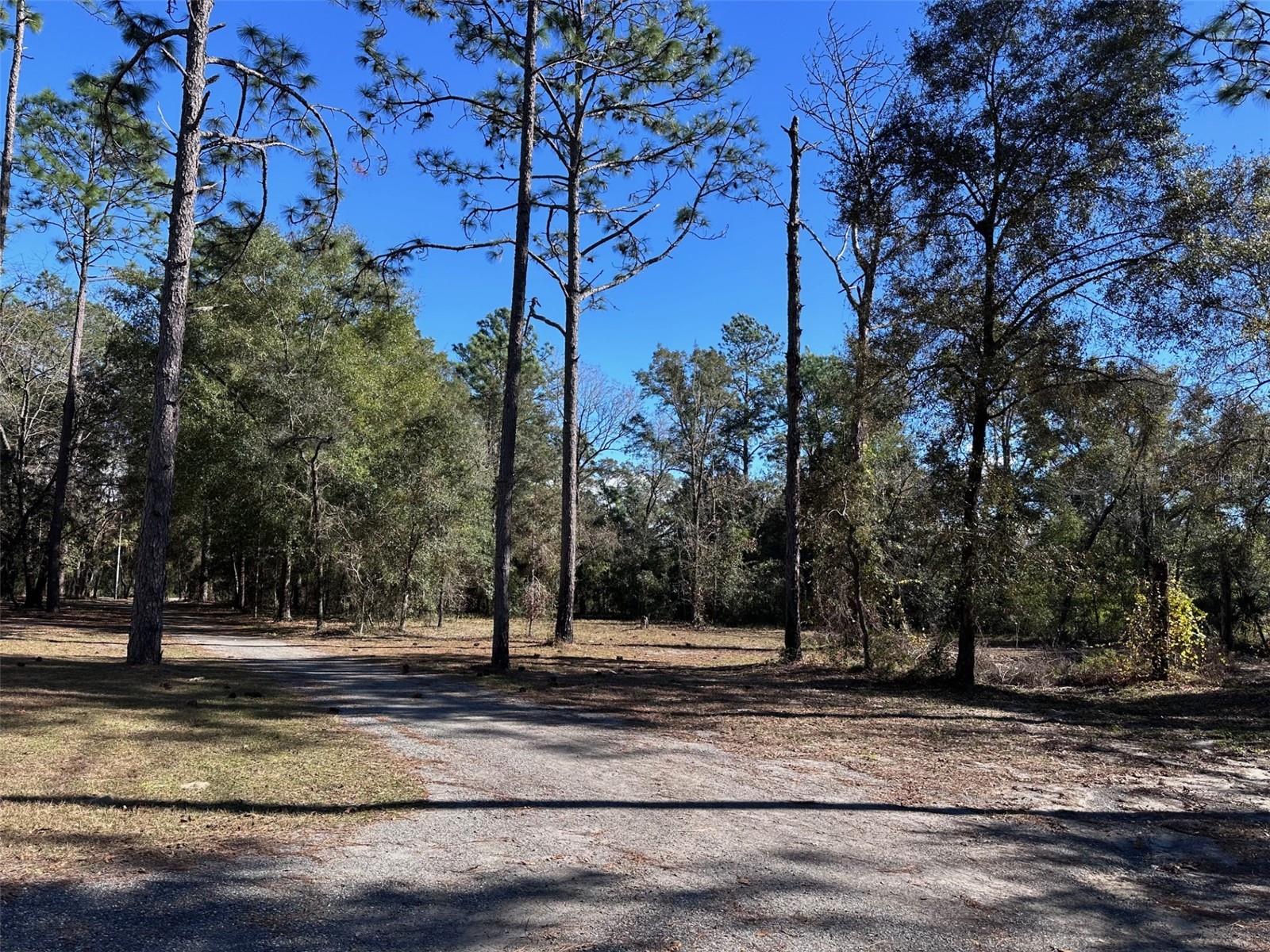 Image 24 of 26 For 3760 County Road 337