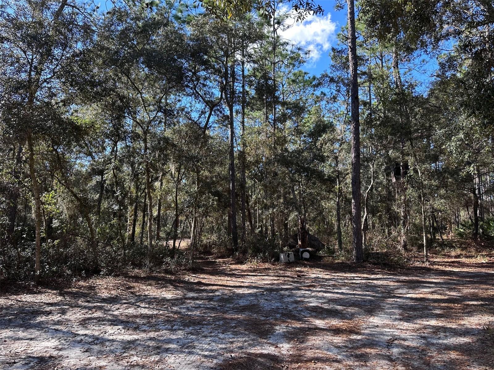 Image 25 of 26 For 3760 County Road 337