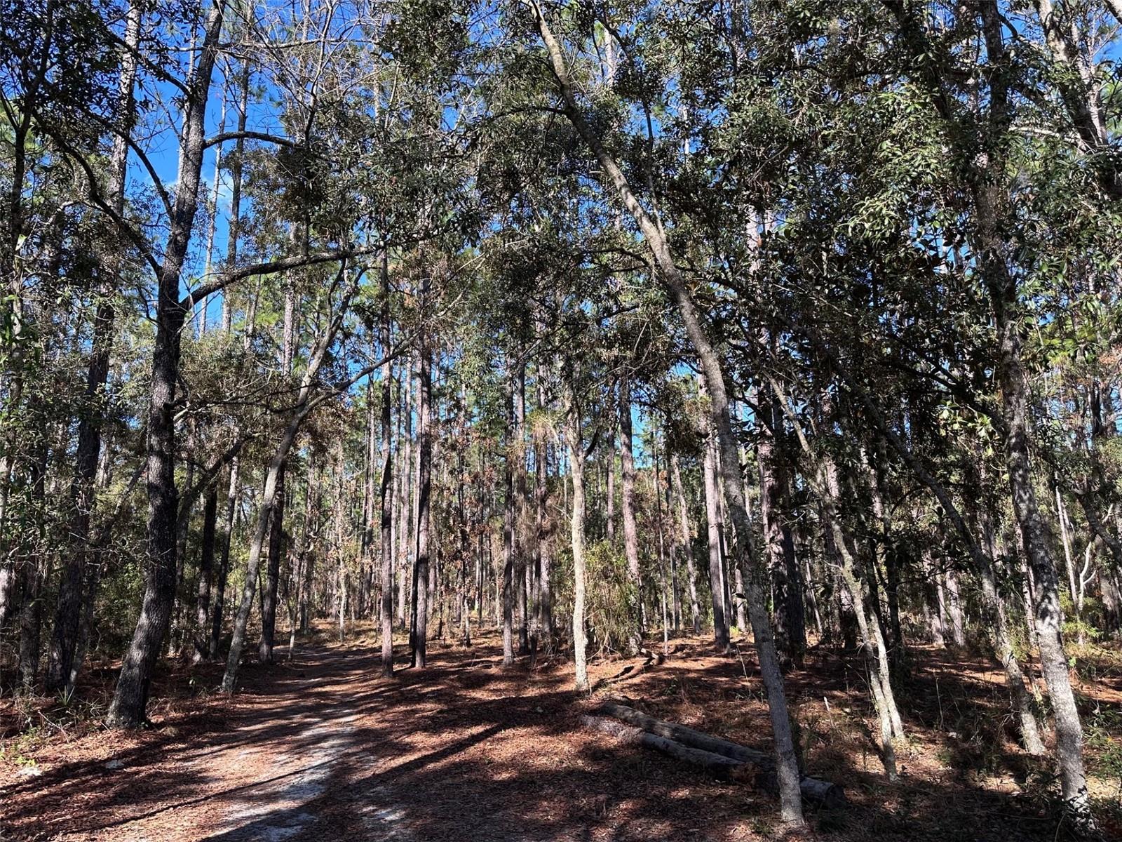 Image 26 of 26 For 3760 County Road 337