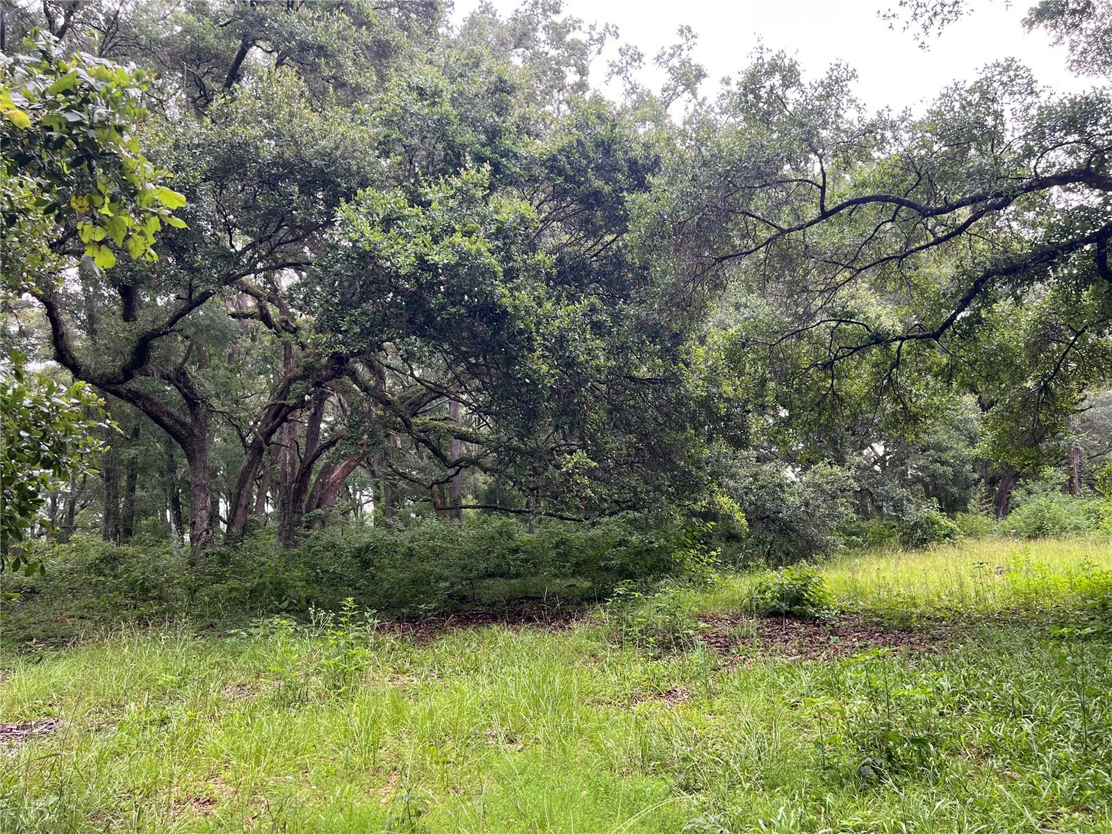 Image 3 of 3 For 9202 108th Avenue