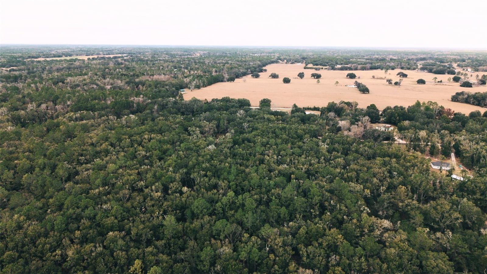 Image 10 of 12 For 6016 52nd Terrace