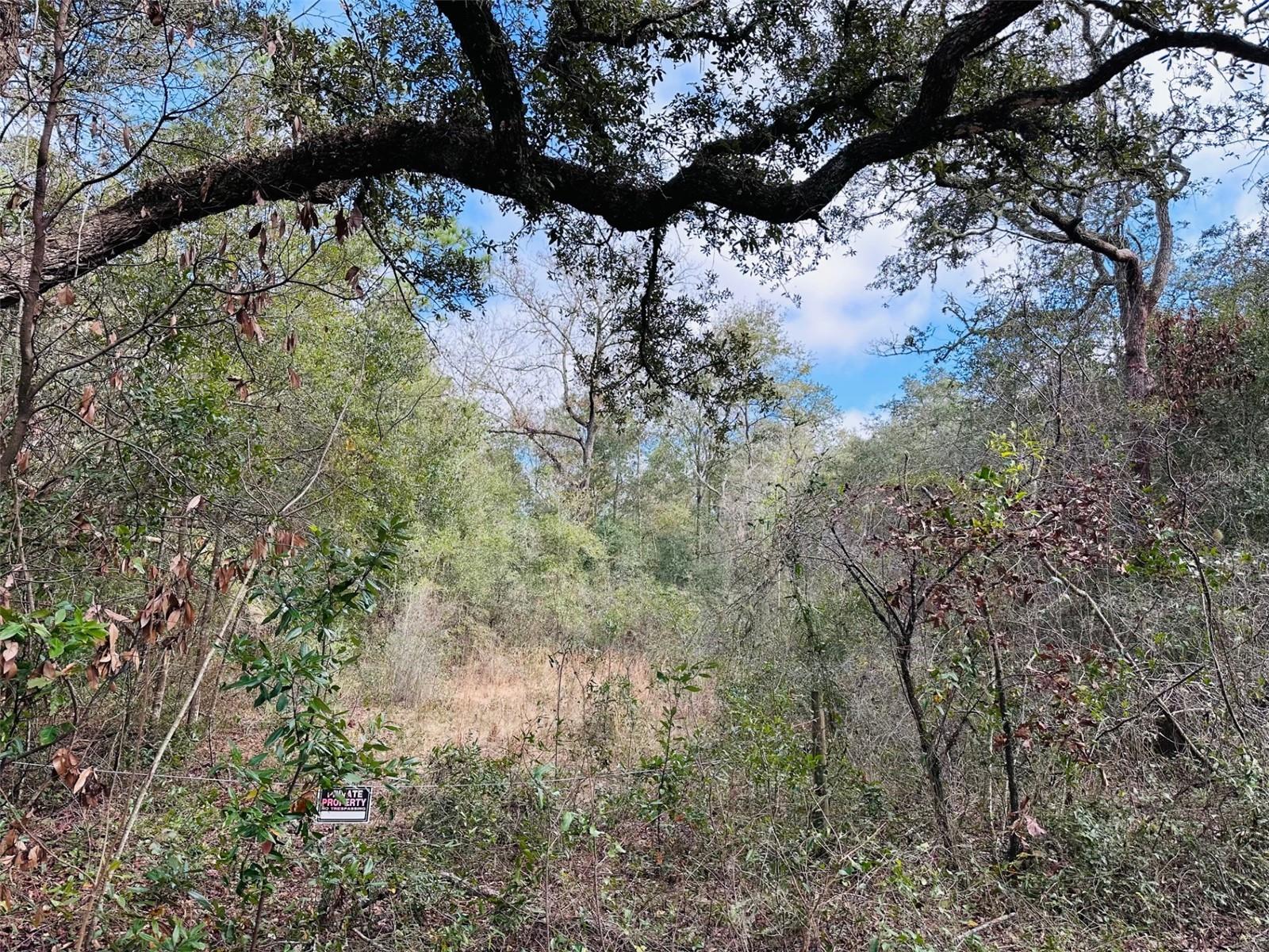 Image 3 of 5 For 16151 80th Court