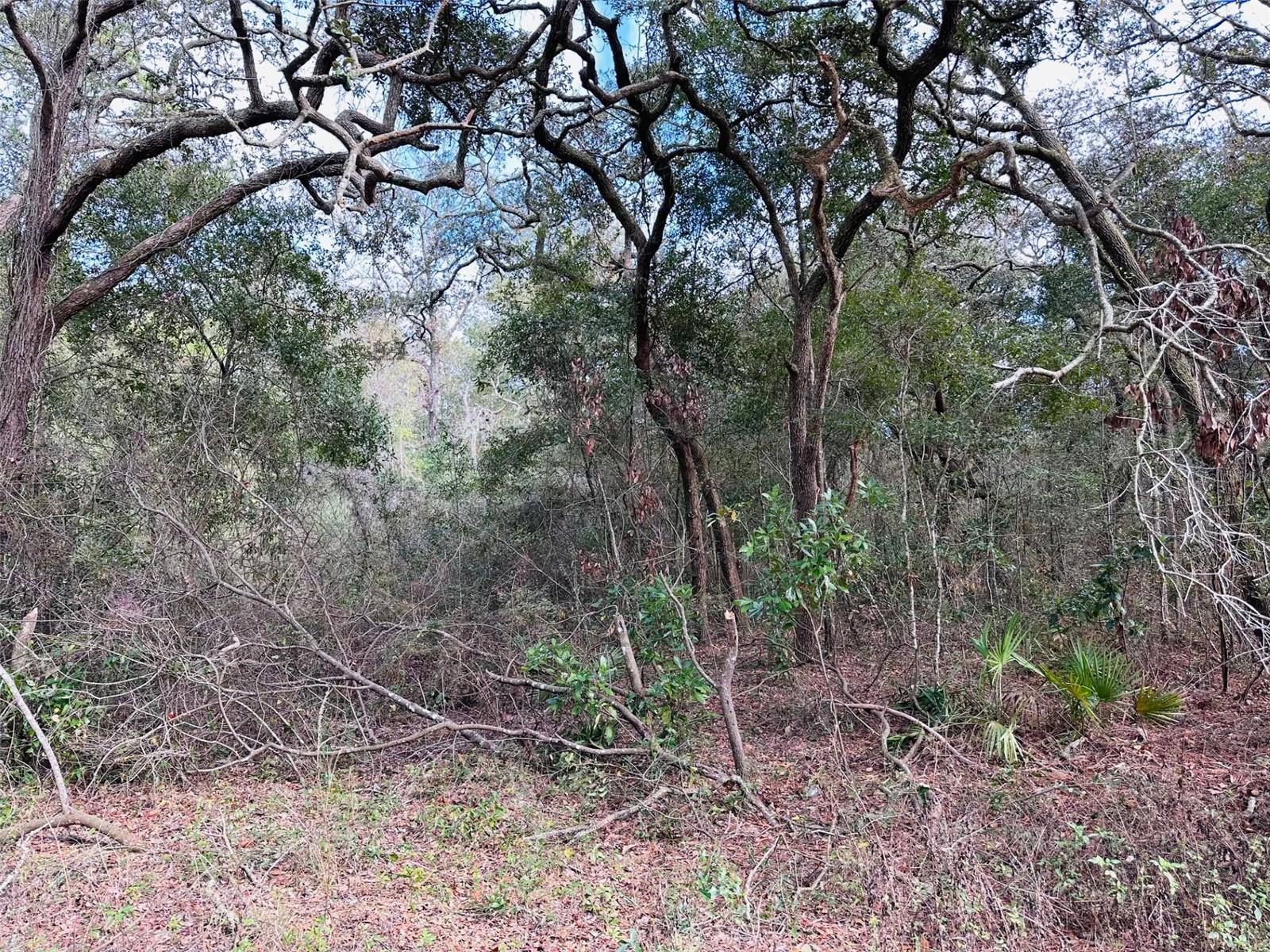 Image 4 of 5 For 16151 80th Court