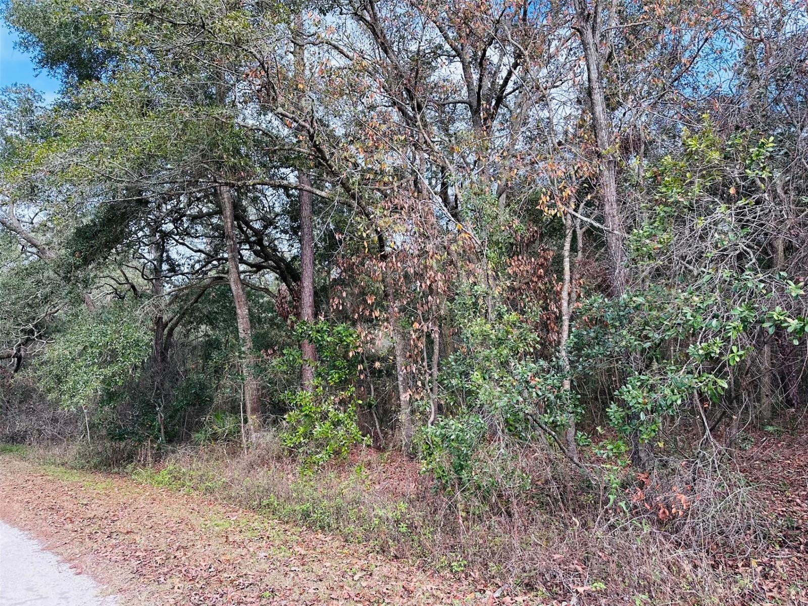 Image 5 of 5 For 16151 80th Court