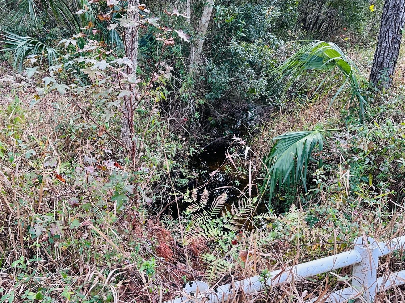 Image 23 of 42 For 12468 Hwy 349