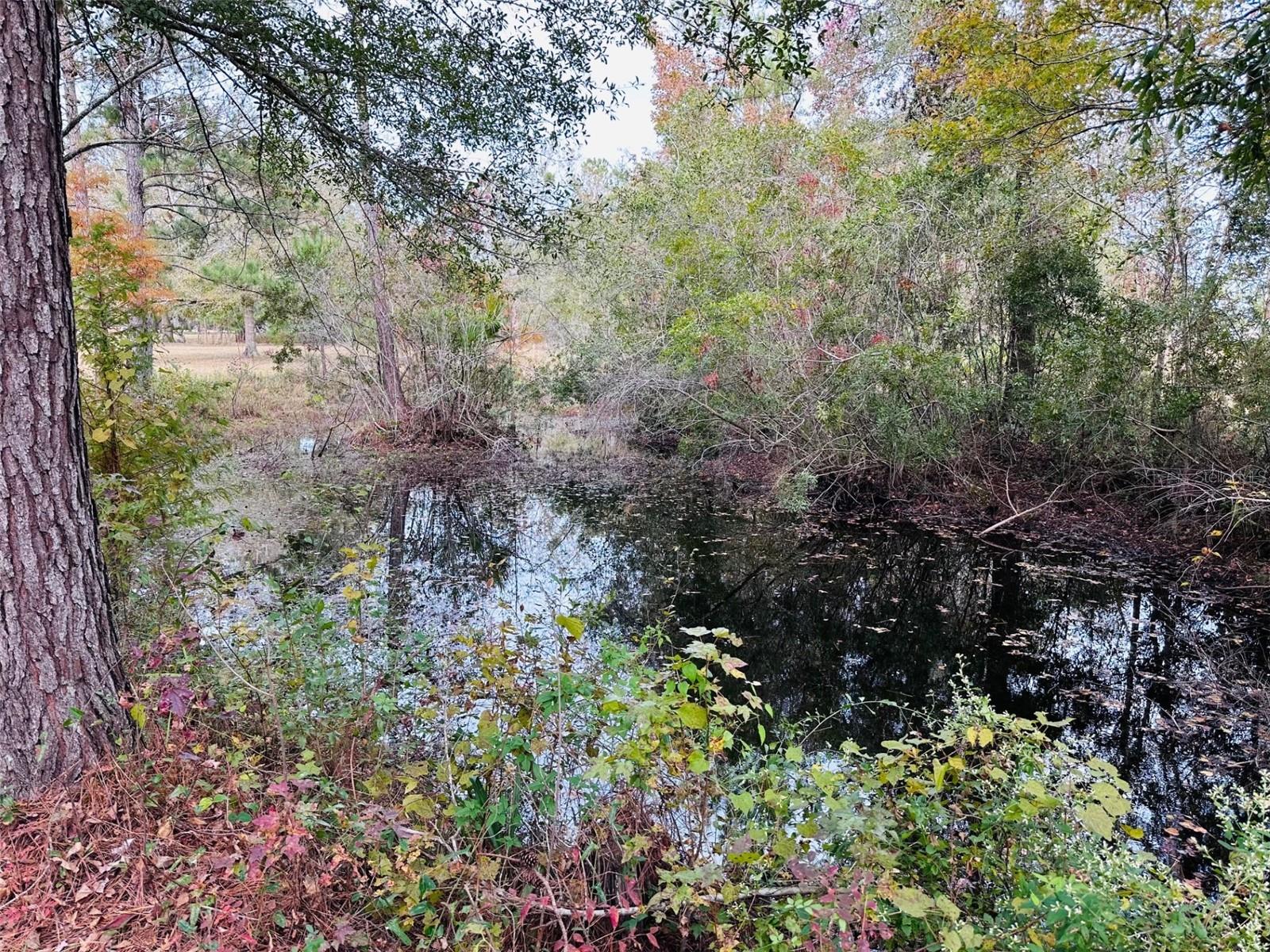 Image 25 of 42 For 12468 Hwy 349