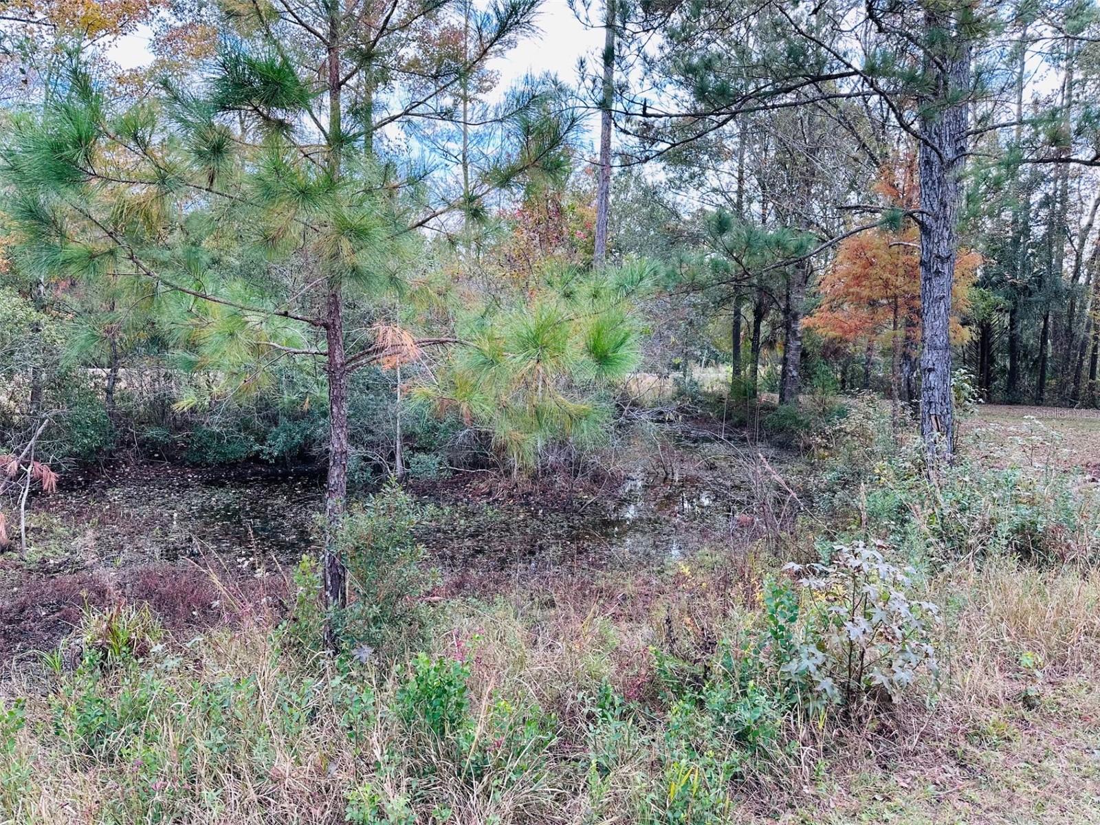 Image 3 of 42 For 12468 Hwy 349