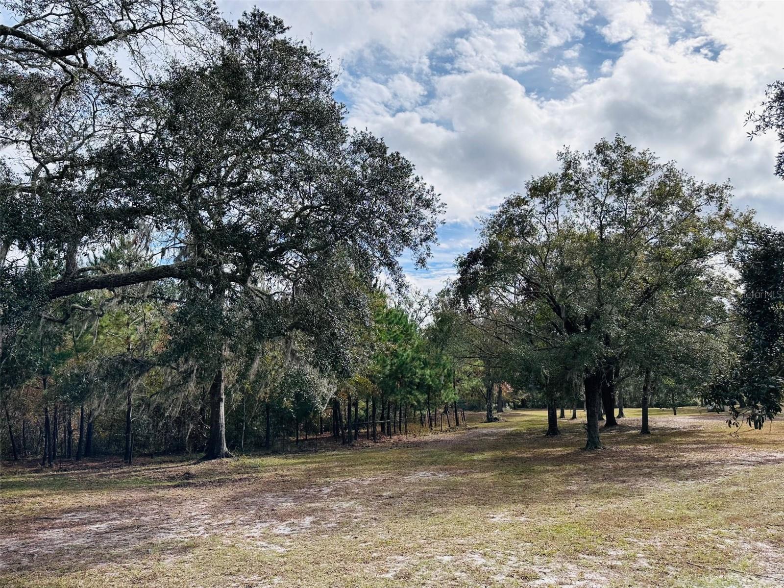 Image 32 of 42 For 12468 Hwy 349