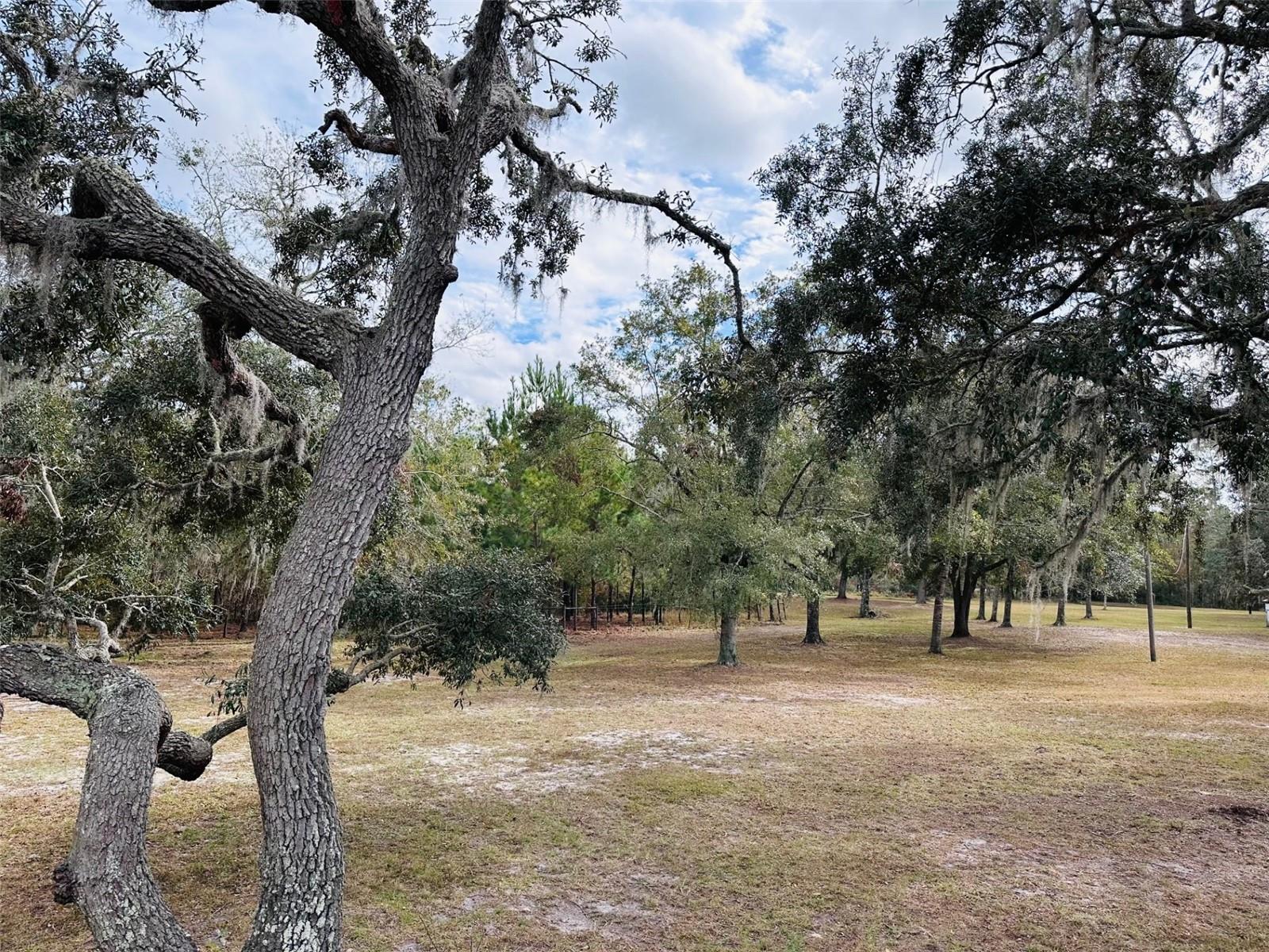 Image 37 of 42 For 12468 Hwy 349