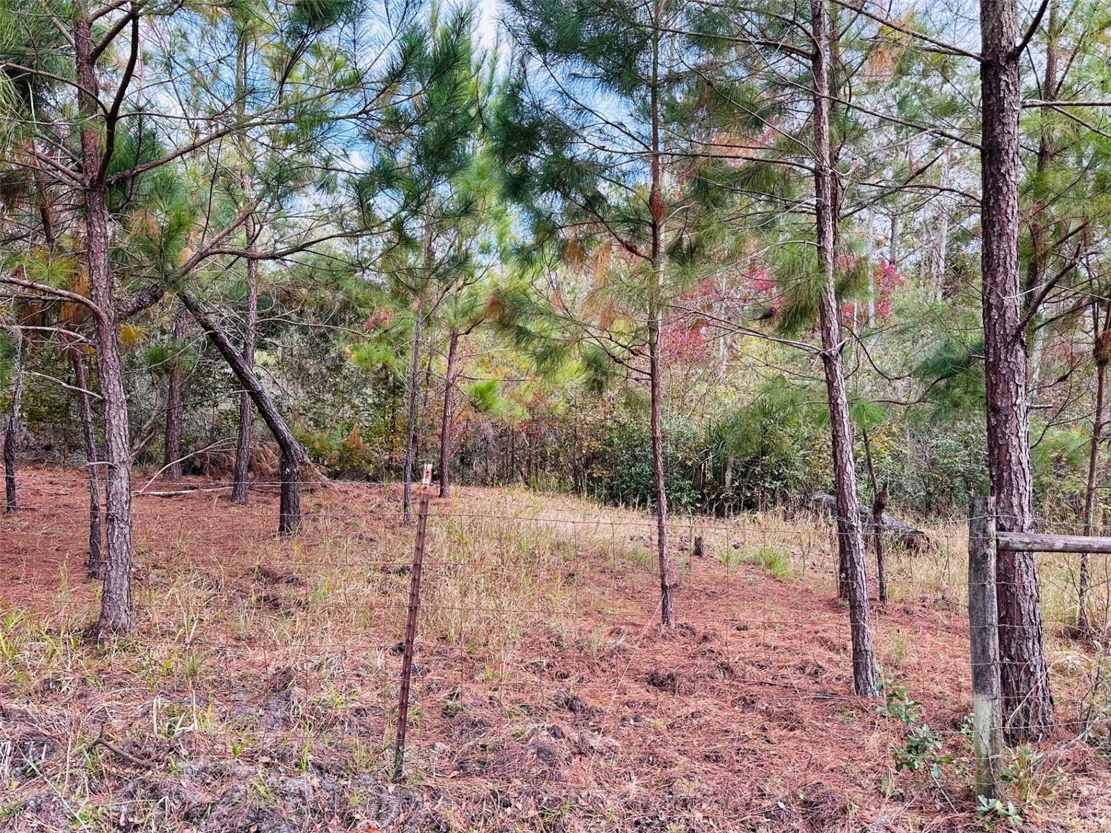 Image 40 of 42 For 12468 Hwy 349