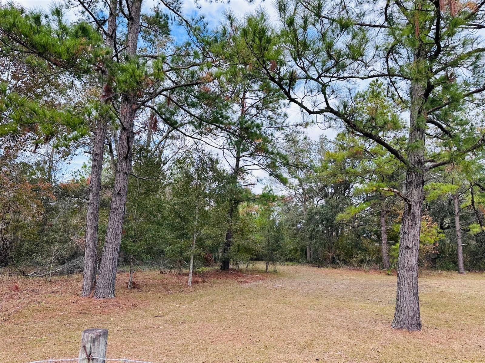 Image 42 of 42 For 12468 Hwy 349